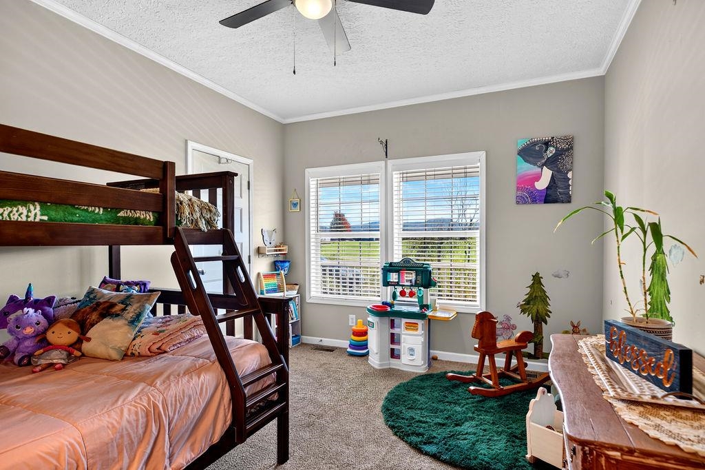 10 BLESSING HILL BARN LN, RAPHINE, Virginia 24472, 3 Bedrooms Bedrooms, ,2 BathroomsBathrooms,Residential,10 BLESSING HILL BARN LN,683225 MLS # 683225