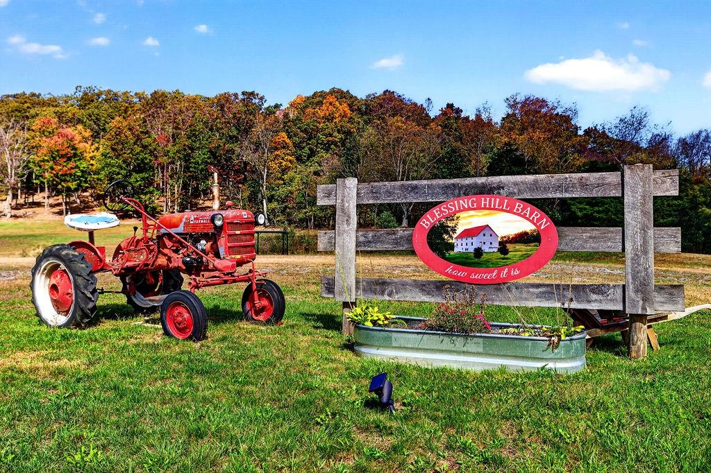 10 BLESSING HILL BARN LN, RAPHINE, Virginia 24472, 3 Bedrooms Bedrooms, ,2 BathroomsBathrooms,Residential,10 BLESSING HILL BARN LN,683225 MLS # 683225