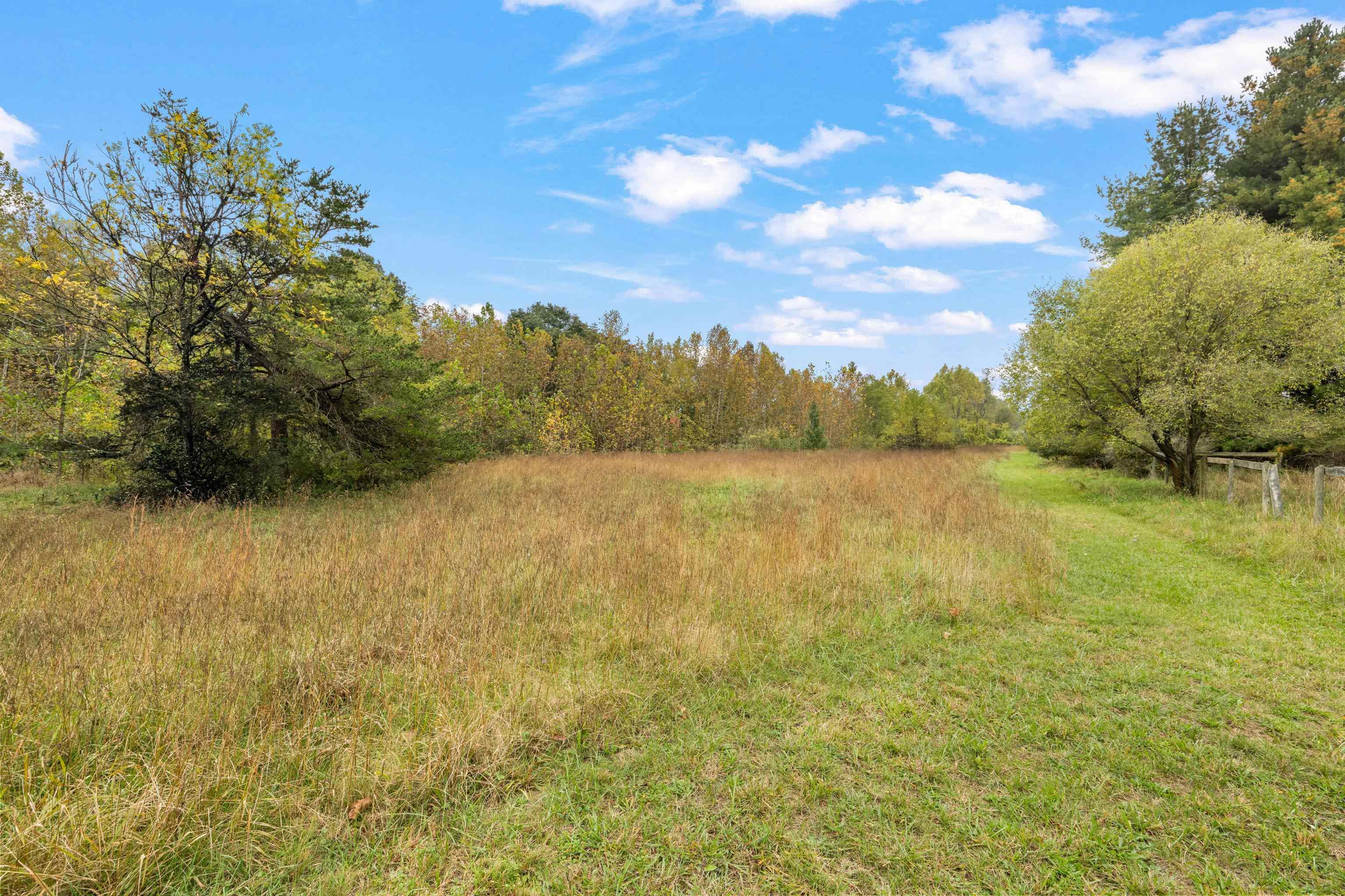 1168 MT TORREY RD, LYNDHURST, Virginia 22952, 4 Bedrooms Bedrooms, ,2 BathroomsBathrooms,Residential,1168 MT TORREY RD,683242 MLS # 683242