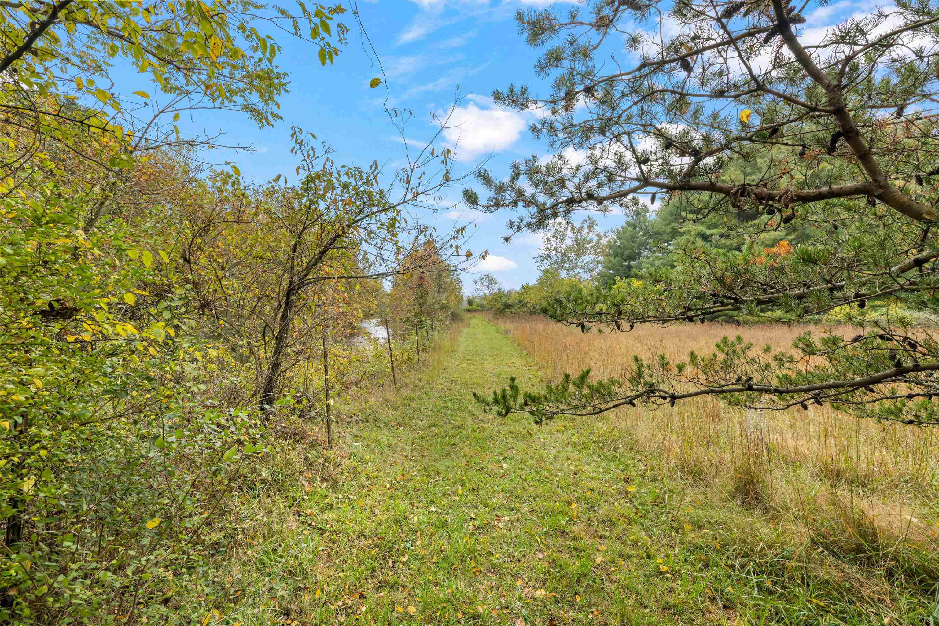 1168 MT TORREY RD, LYNDHURST, Virginia 22952, 4 Bedrooms Bedrooms, ,2 BathroomsBathrooms,Residential,1168 MT TORREY RD,683242 MLS # 683242