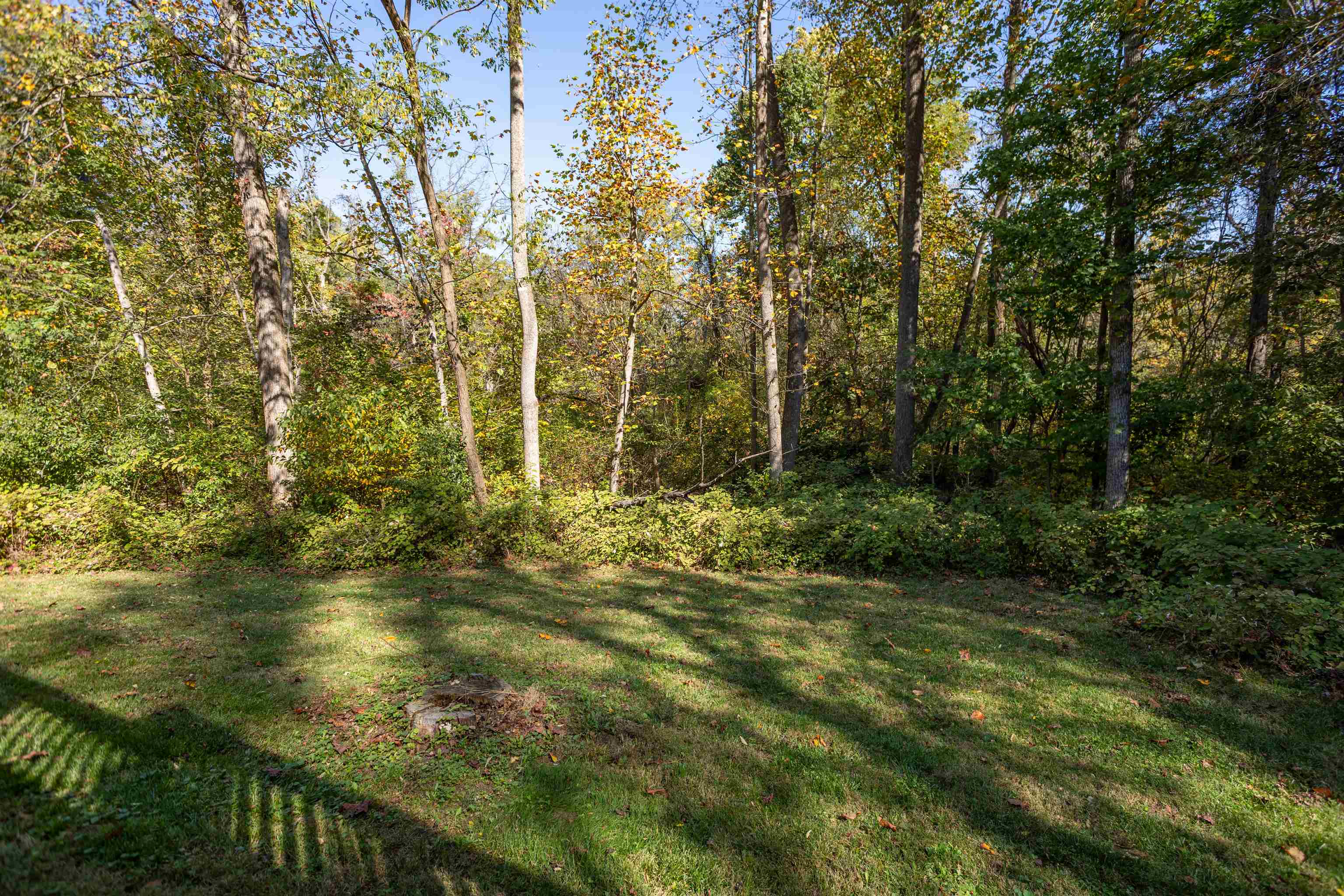 274 RHODODENDRON CT, MCGAHEYSVILLE, Virginia 22840, 4 Bedrooms Bedrooms, ,3 BathroomsBathrooms,Residential,274 RHODODENDRON CT,683264 MLS # 683264