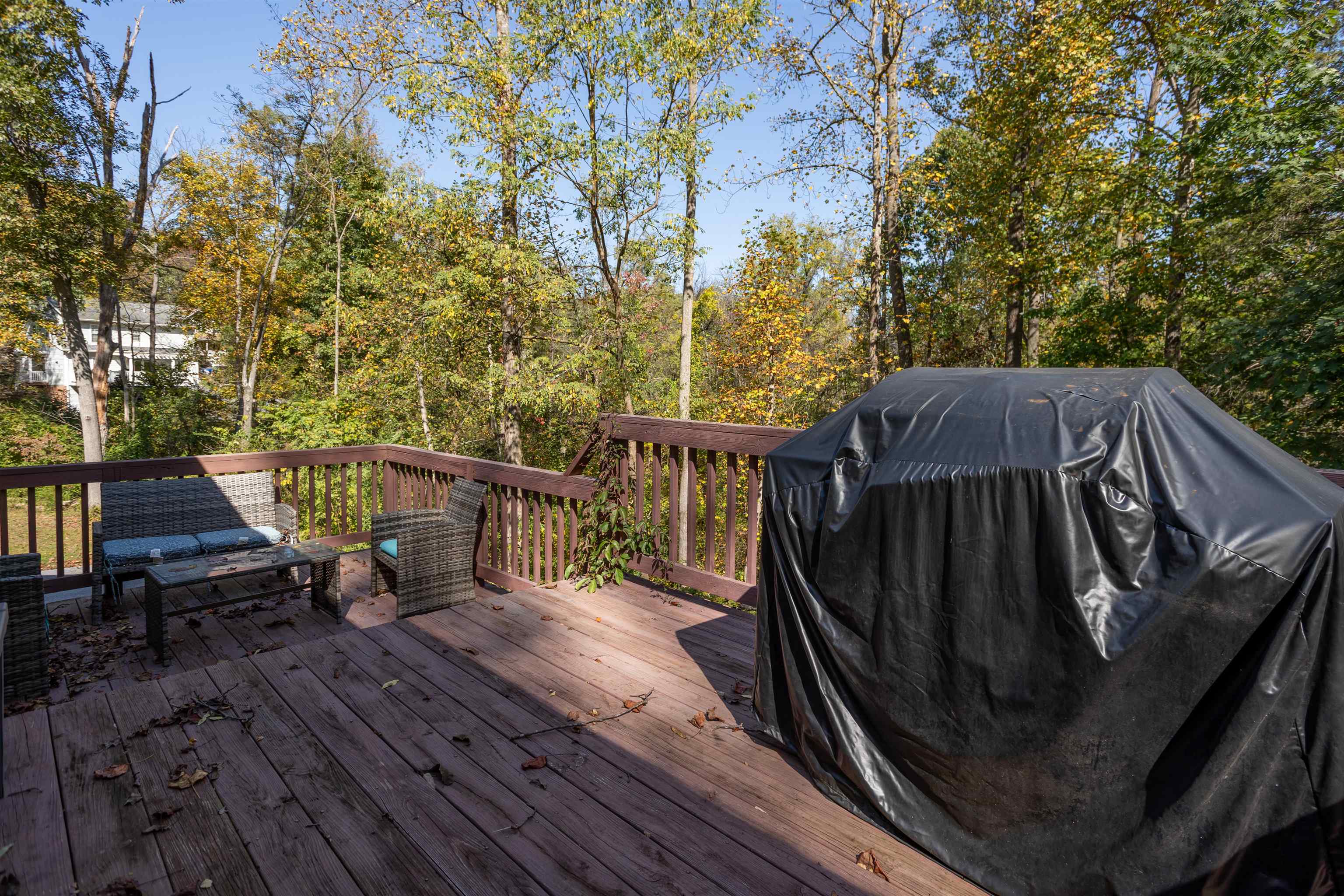 274 RHODODENDRON CT, MCGAHEYSVILLE, Virginia 22840, 4 Bedrooms Bedrooms, ,3 BathroomsBathrooms,Residential,274 RHODODENDRON CT,683264 MLS # 683264