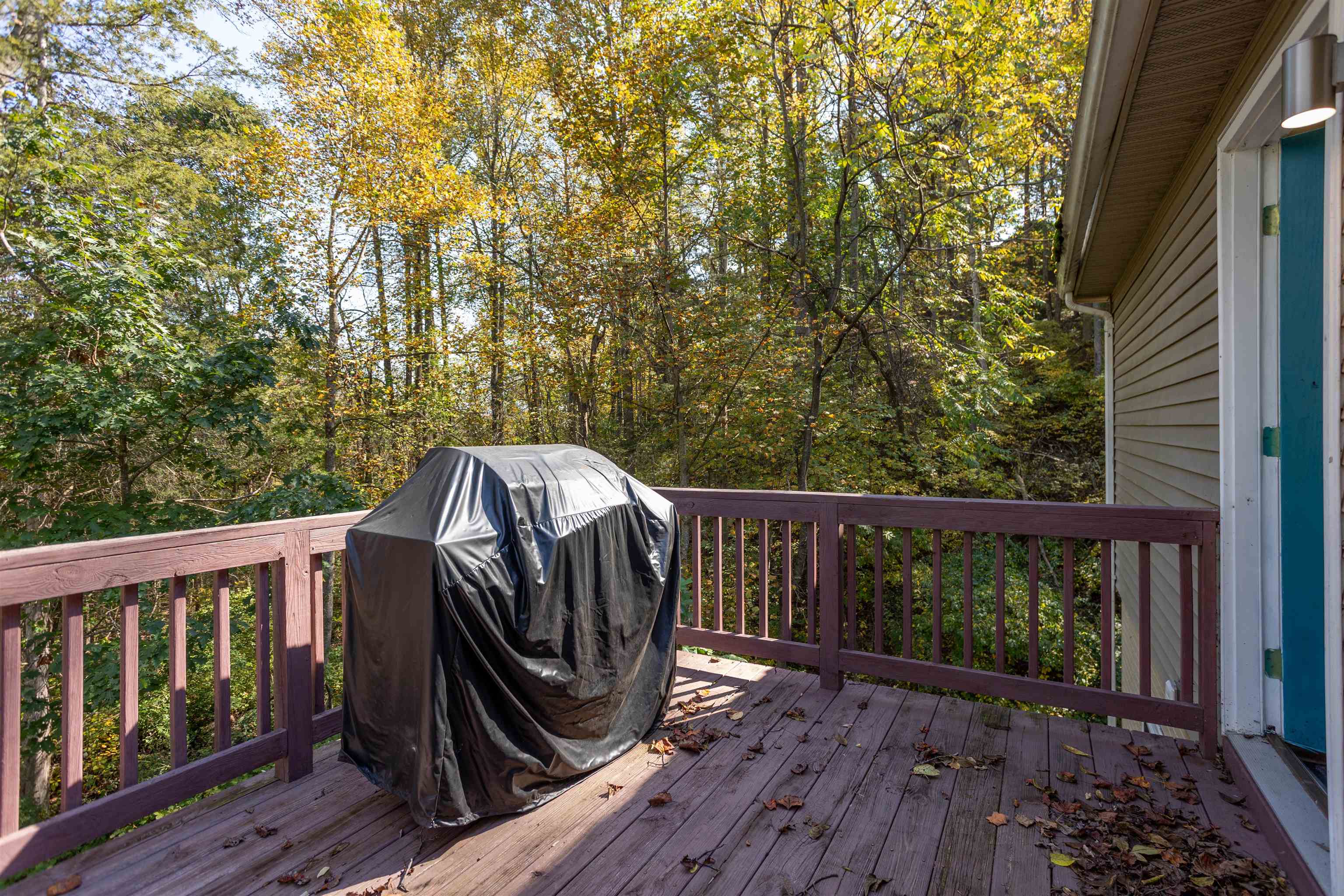 274 RHODODENDRON CT, MCGAHEYSVILLE, Virginia 22840, 4 Bedrooms Bedrooms, ,3 BathroomsBathrooms,Residential,274 RHODODENDRON CT,683264 MLS # 683264