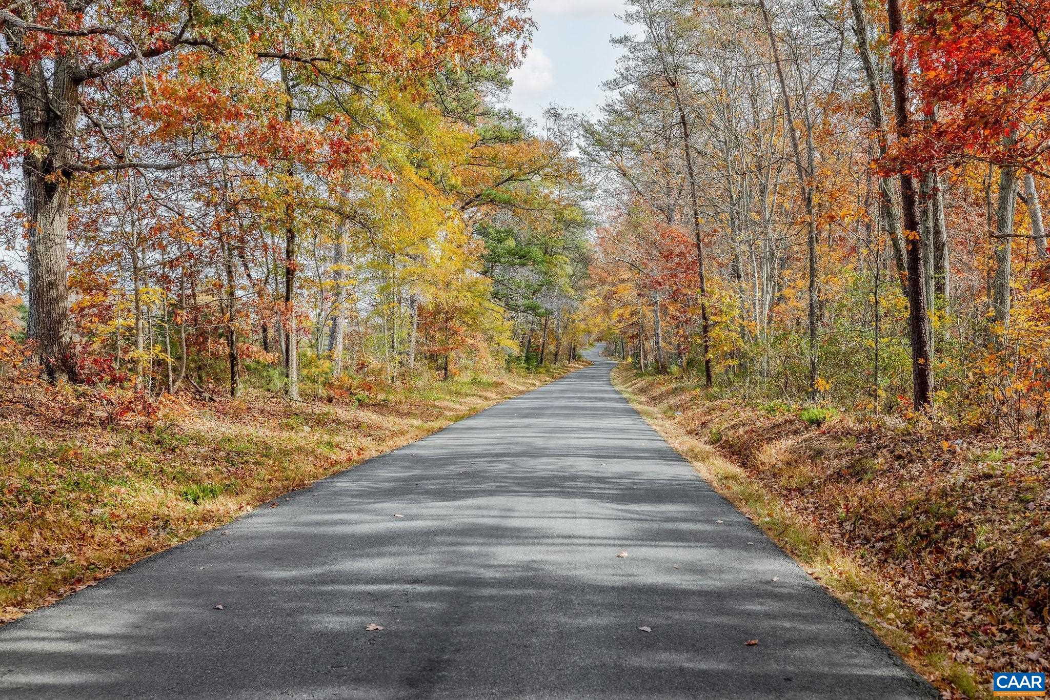 Lot 2 COLES ROLLING RD, SCOTTSVILLE, Virginia 24590, ,Land,Lot 2 COLES ROLLING RD,683315 MLS # 683315 Lot 2 COLES ROLLING RD, SCOTTSVILLE, Virginia 24590, ,Land,Lot 2 COLES ROLLING RD,683315 MLS # 683315