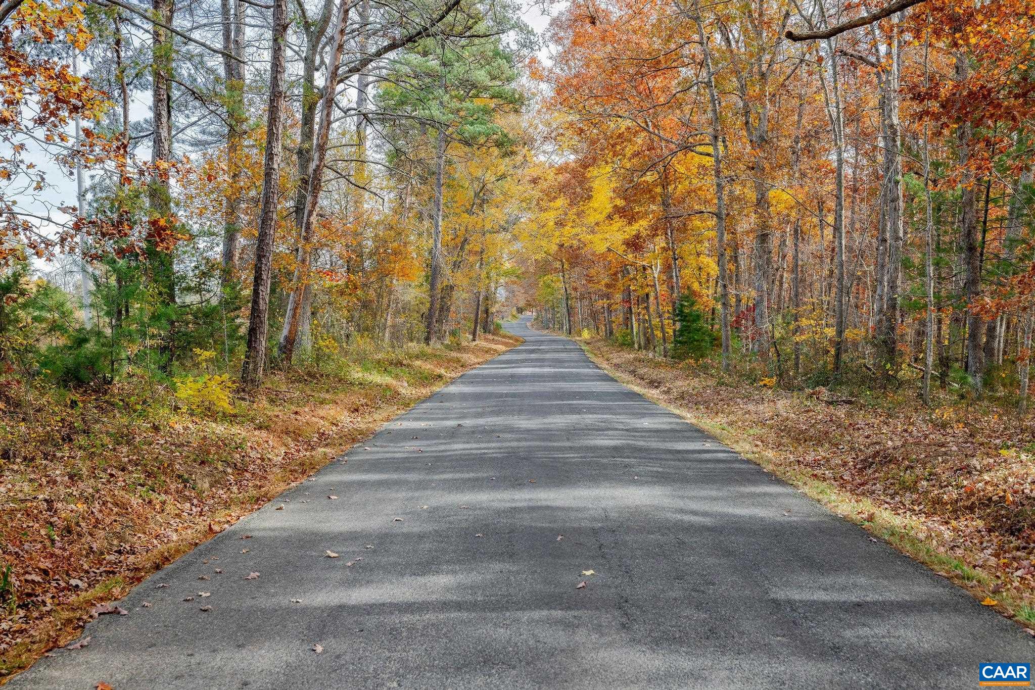 Lot 2 COLES ROLLING RD, SCOTTSVILLE, Virginia 24590, ,Land,Lot 2 COLES ROLLING RD,683315 MLS # 683315 Lot 2 COLES ROLLING RD, SCOTTSVILLE, Virginia 24590, ,Land,Lot 2 COLES ROLLING RD,683315 MLS # 683315