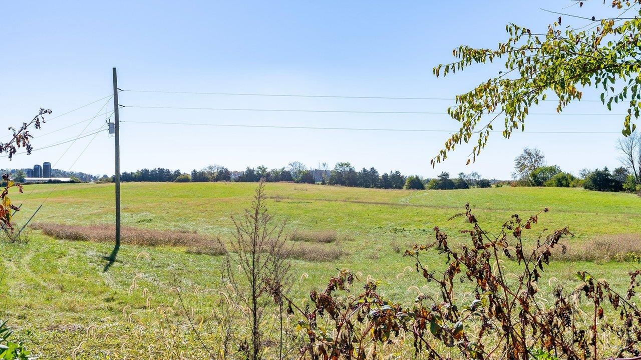 0 HUPP RD, TIMBERVILLE, Virginia 22853, ,Farm,0 HUPP RD,683320 MLS # 683320 0 HUPP RD, TIMBERVILLE, Virginia 22853, ,Farm,0 HUPP RD,683320 MLS # 683320
