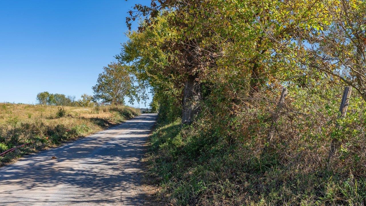 0 HUPP RD, TIMBERVILLE, Virginia 22853, ,Farm,0 HUPP RD,683320 MLS # 683320 0 HUPP RD, TIMBERVILLE, Virginia 22853, ,Farm,0 HUPP RD,683320 MLS # 683320