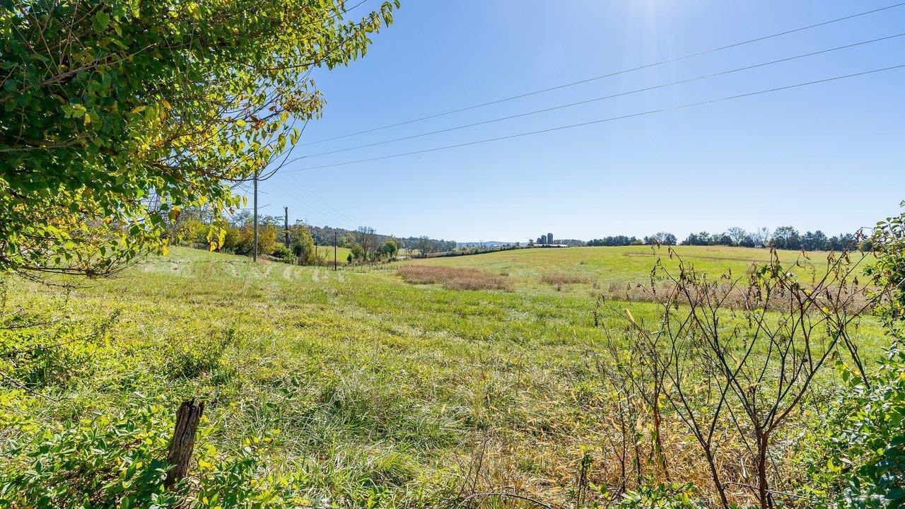0 HUPP RD, TIMBERVILLE, Virginia 22853, ,Farm,0 HUPP RD,683320 MLS # 683320 0 HUPP RD, TIMBERVILLE, Virginia 22853, ,Farm,0 HUPP RD,683320 MLS # 683320