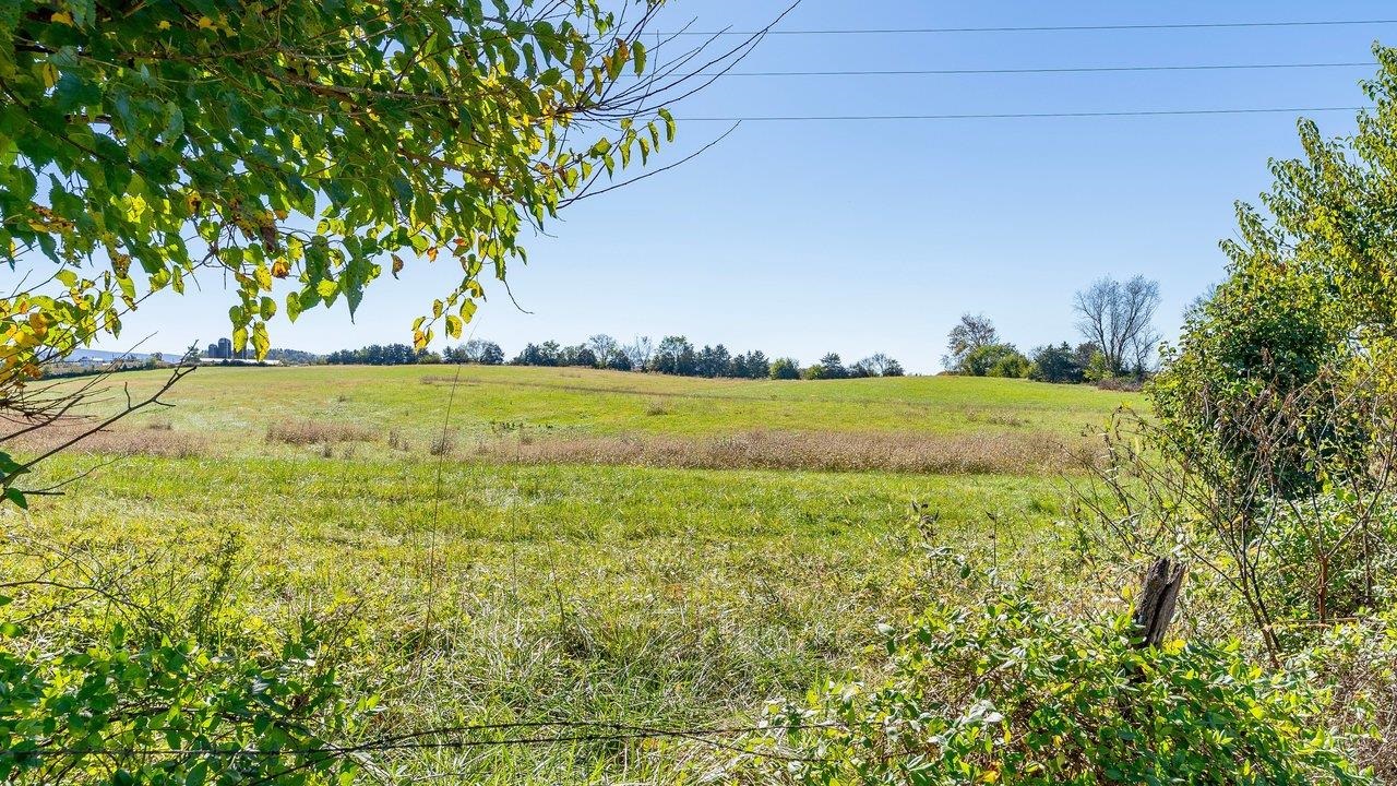 0 HUPP RD, TIMBERVILLE, Virginia 22853, ,Farm,0 HUPP RD,683320 MLS # 683320 0 HUPP RD, TIMBERVILLE, Virginia 22853, ,Farm,0 HUPP RD,683320 MLS # 683320