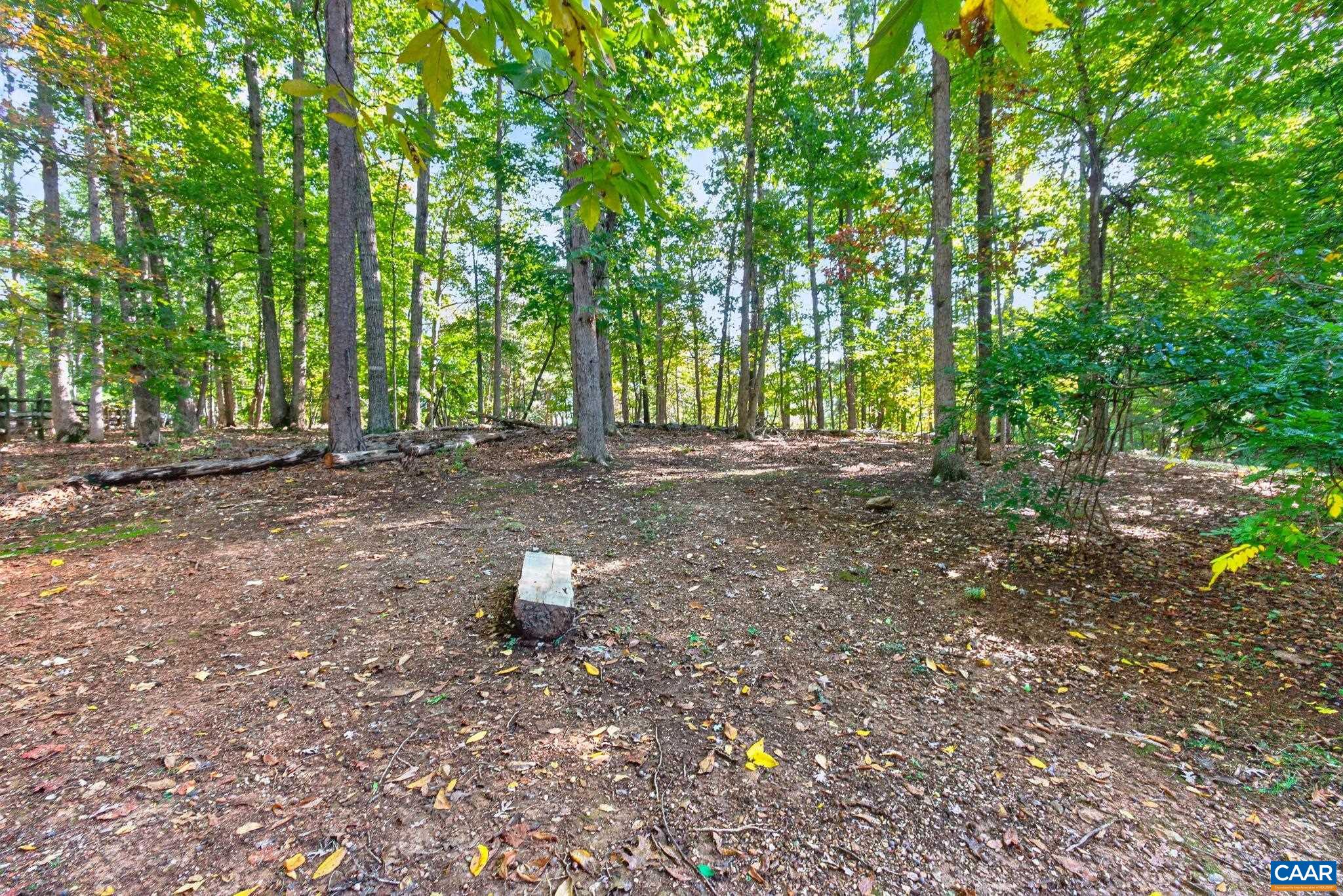 803 JEFFERSON DR, PALMYRA, Virginia 22963, 5 Bedrooms Bedrooms, ,3 BathroomsBathrooms,Residential,803 JEFFERSON DR,683277 MLS # 683277 803 JEFFERSON DR, PALMYRA, Virginia 22963, 5 Bedrooms Bedrooms, ,3 BathroomsBathrooms,Residential,803 JEFFERSON DR,683277 MLS # 683277