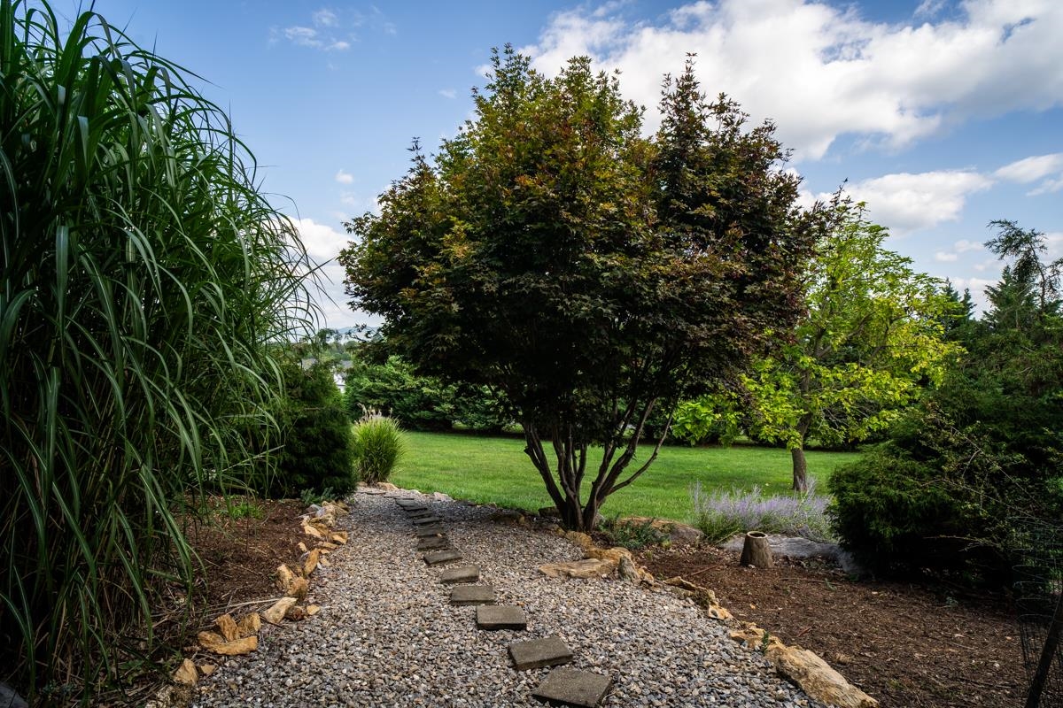 190 RIDGEMORE DR, RAPHINE, Virginia 24472, 4 Bedrooms Bedrooms, ,2 BathroomsBathrooms,Residential,190 RIDGEMORE DR,683344 MLS # 683344 190 RIDGEMORE DR, RAPHINE, Virginia 24472, 4 Bedrooms Bedrooms, ,2 BathroomsBathrooms,Residential,190 RIDGEMORE DR,683344 MLS # 683344
