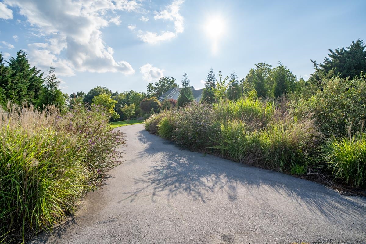 190 RIDGEMORE DR, RAPHINE, Virginia 24472, 4 Bedrooms Bedrooms, ,2 BathroomsBathrooms,Residential,190 RIDGEMORE DR,683344 MLS # 683344 190 RIDGEMORE DR, RAPHINE, Virginia 24472, 4 Bedrooms Bedrooms, ,2 BathroomsBathrooms,Residential,190 RIDGEMORE DR,683344 MLS # 683344
