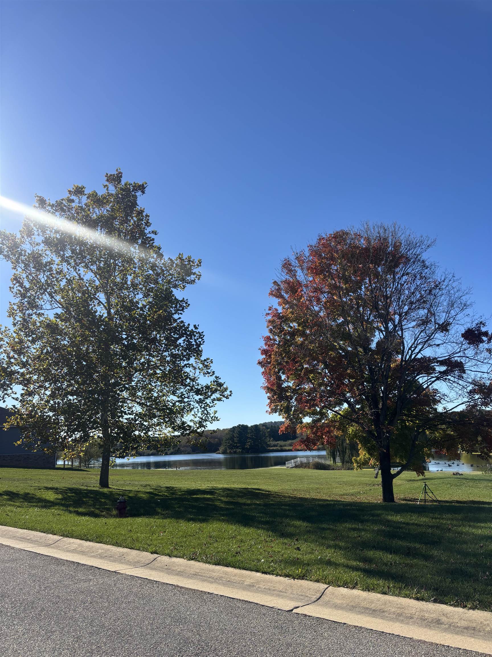 180 WATERFRONT DR, RAPHINE, Virginia 24472, 5 Bedrooms Bedrooms, ,3 BathroomsBathrooms,Residential,180 WATERFRONT DR,683354 MLS # 683354 180 WATERFRONT DR, RAPHINE, Virginia 24472, 5 Bedrooms Bedrooms, ,3 BathroomsBathrooms,Residential,180 WATERFRONT DR,683354 MLS # 683354