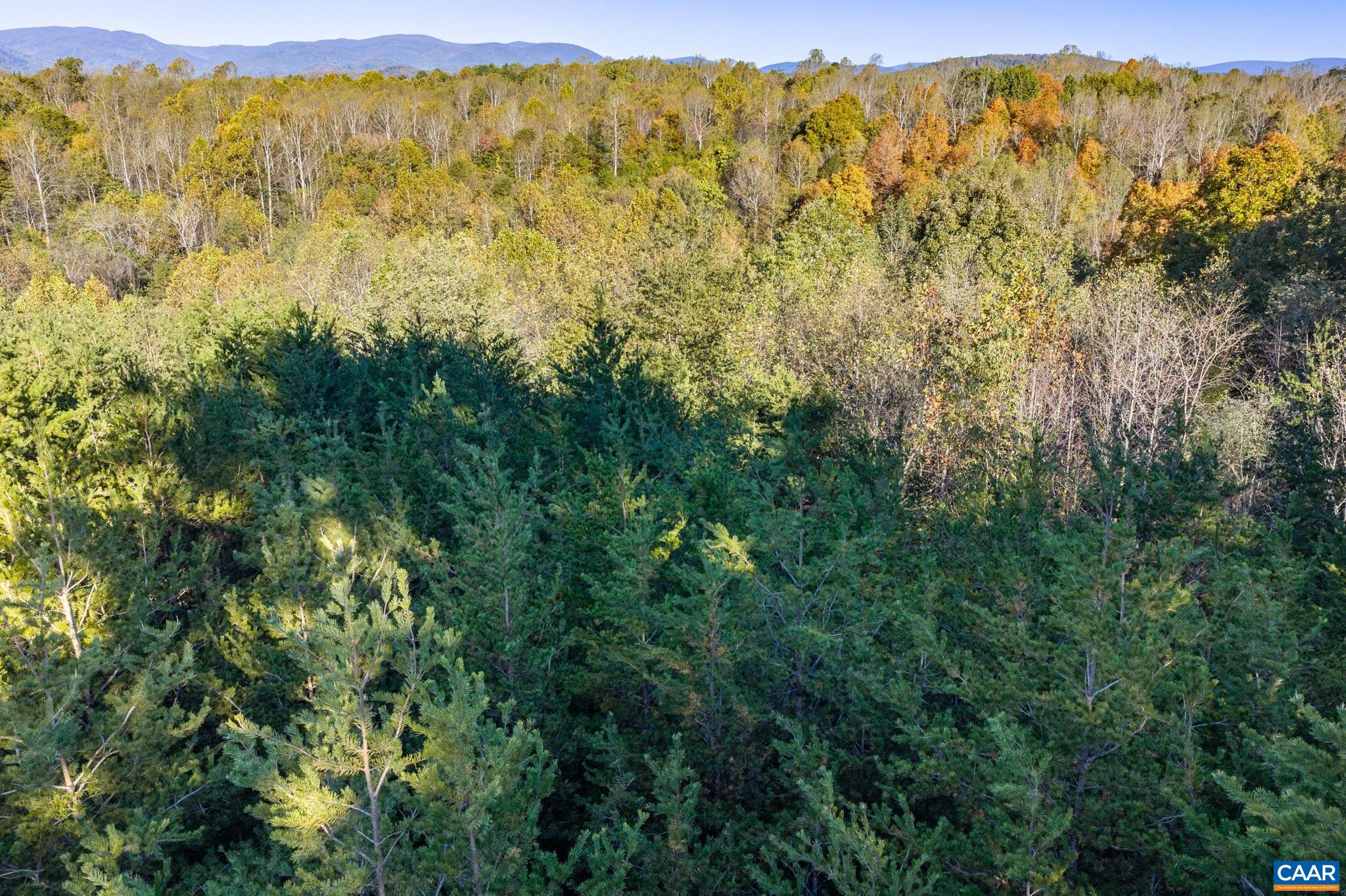 3.94 AC PEACE AND QUIET CIR, REVA, Virginia 22735, ,Land,3.94 AC PEACE AND QUIET CIR,683363 MLS # 683363