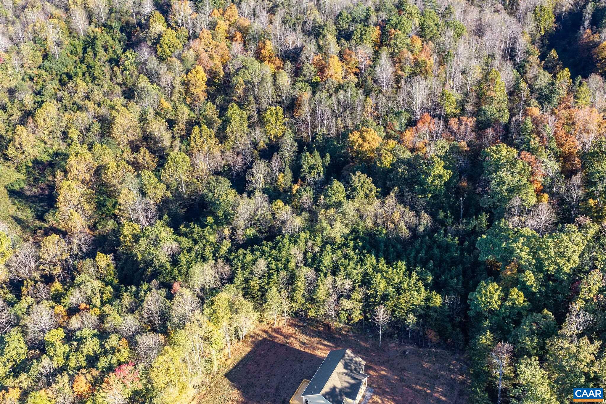 3.94 AC PEACE AND QUIET CIR, REVA, Virginia 22735, ,Land,3.94 AC PEACE AND QUIET CIR,683363 MLS # 683363