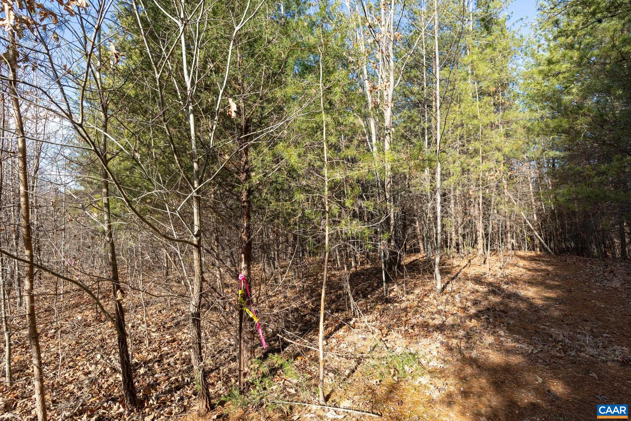3.94 AC PEACE AND QUIET CIR, REVA, Virginia 22735, ,Land,3.94 AC PEACE AND QUIET CIR,683363 MLS # 683363