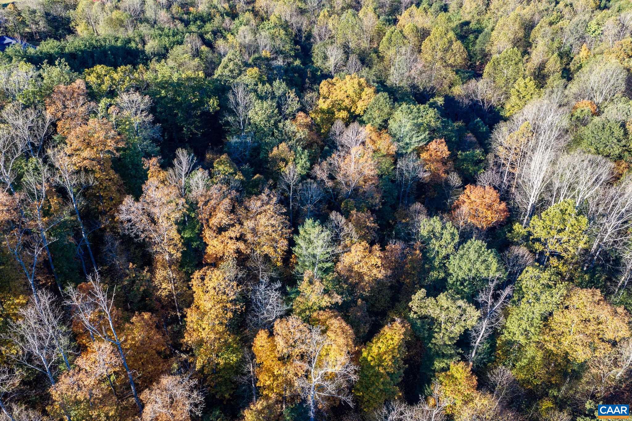 3.94 AC PEACE AND QUIET CIR, REVA, Virginia 22735, ,Land,3.94 AC PEACE AND QUIET CIR,683363 MLS # 683363