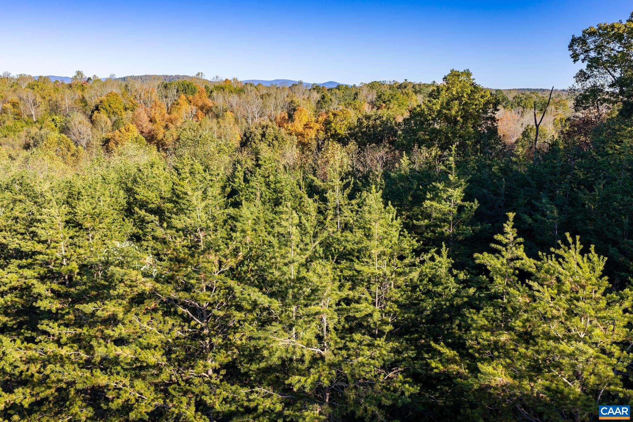 3.94 AC PEACE AND QUIET CIR, REVA, Virginia 22735, ,Land,3.94 AC PEACE AND QUIET CIR,683363 MLS # 683363