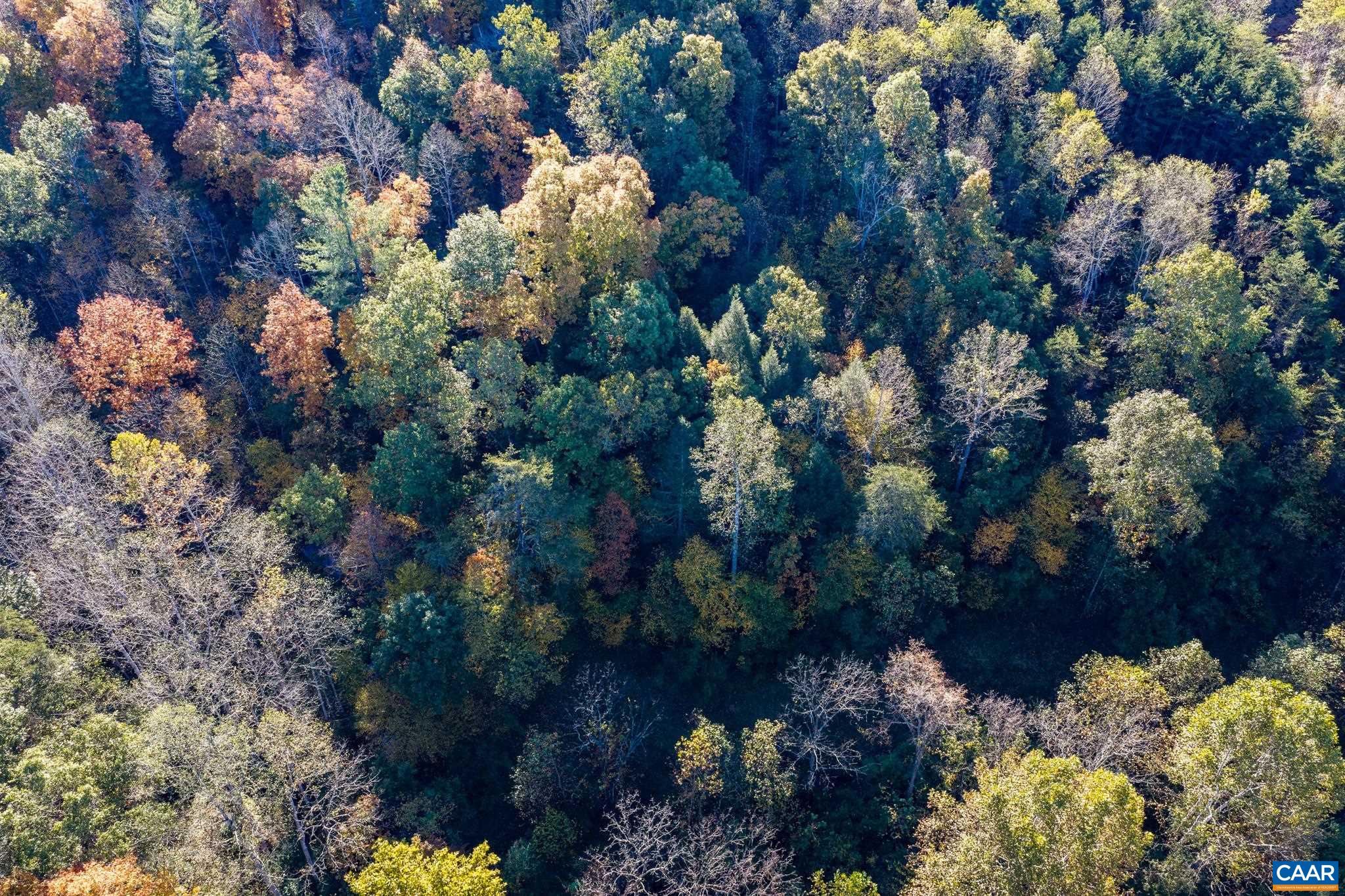 3.94 AC PEACE AND QUIET CIR, REVA, Virginia 22735, ,Land,3.94 AC PEACE AND QUIET CIR,683363 MLS # 683363