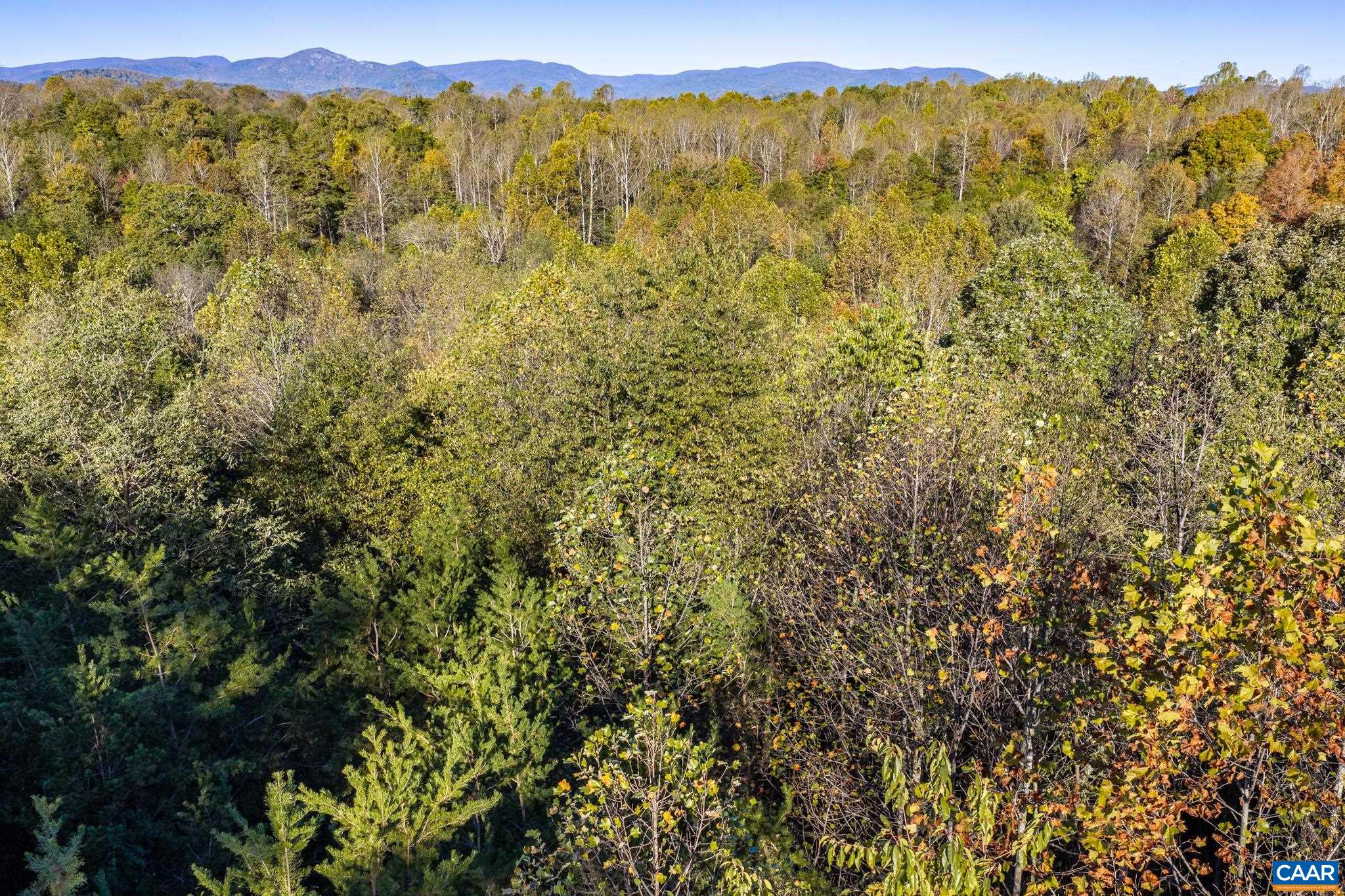3.94 AC PEACE AND QUIET CIR, REVA, Virginia 22735, ,Land,3.94 AC PEACE AND QUIET CIR,683363 MLS # 683363