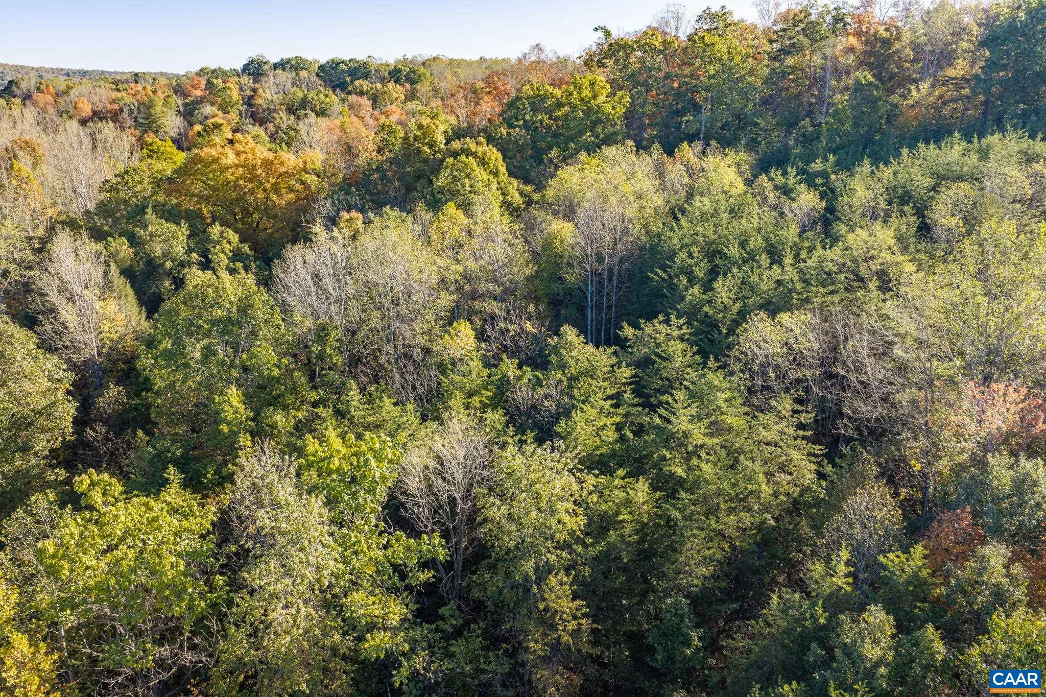 3.94 AC PEACE AND QUIET CIR, REVA, Virginia 22735, ,Land,3.94 AC PEACE AND QUIET CIR,683363 MLS # 683363