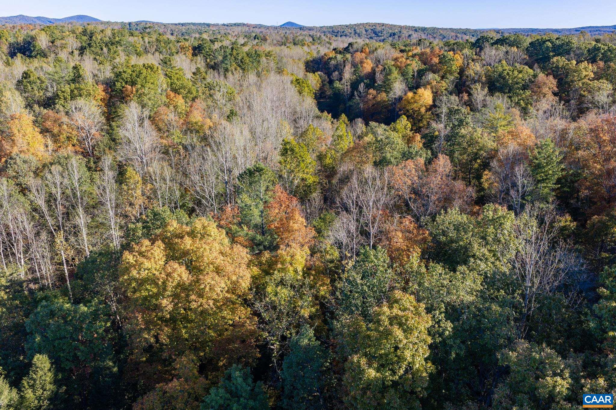 3.94 AC PEACE AND QUIET CIR, REVA, Virginia 22735, ,Land,3.94 AC PEACE AND QUIET CIR,683363 MLS # 683363