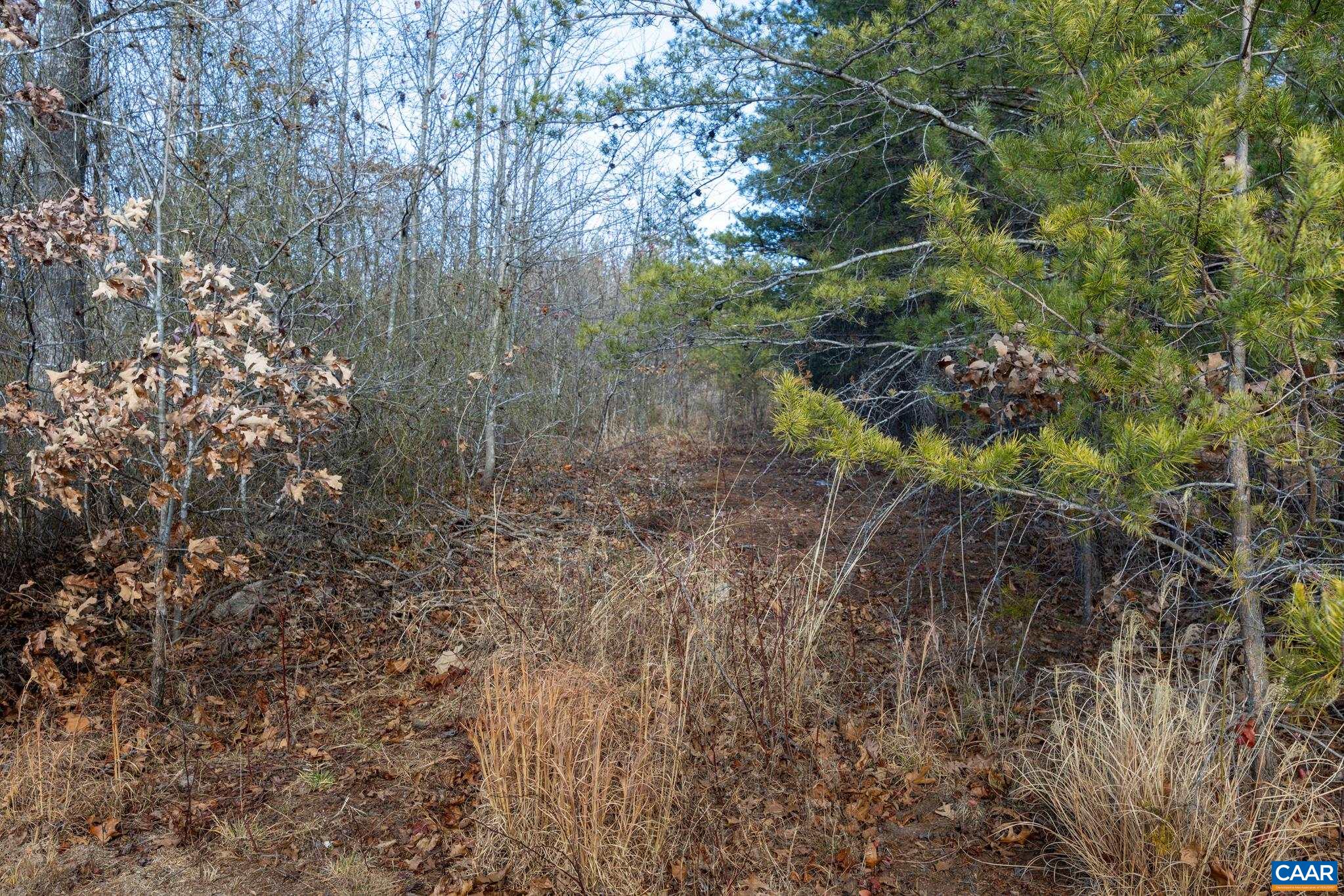 3.94 AC PEACE AND QUIET CIR, REVA, Virginia 22735, ,Land,3.94 AC PEACE AND QUIET CIR,683363 MLS # 683363