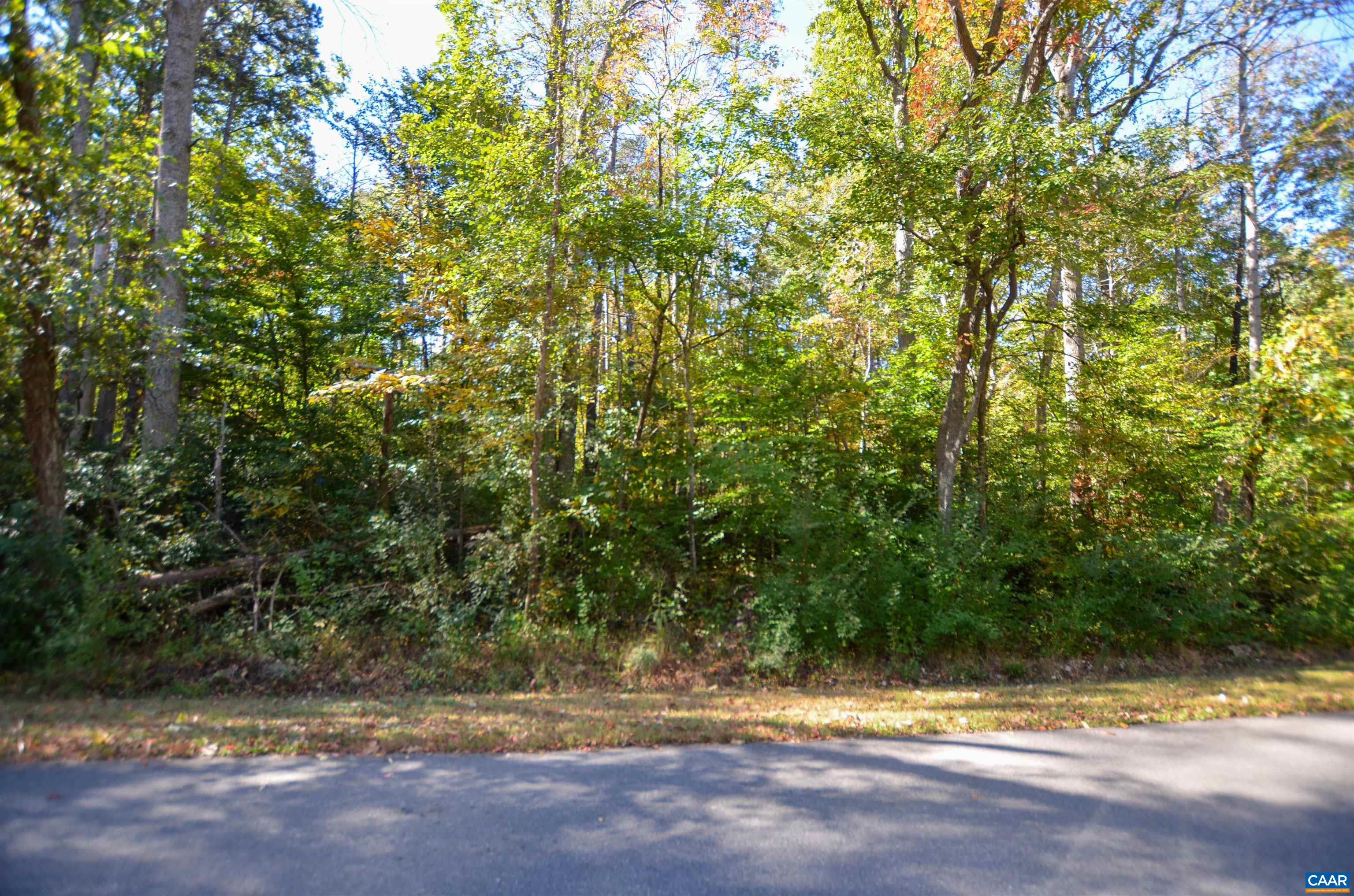 96 ASH RD, LOUISA, Virginia 23093, 3 Bedrooms Bedrooms, ,4 BathroomsBathrooms,Residential,96 ASH RD,683361 MLS # 683361 96 ASH RD, LOUISA, Virginia 23093, 3 Bedrooms Bedrooms, ,4 BathroomsBathrooms,Residential,96 ASH RD,683361 MLS # 683361