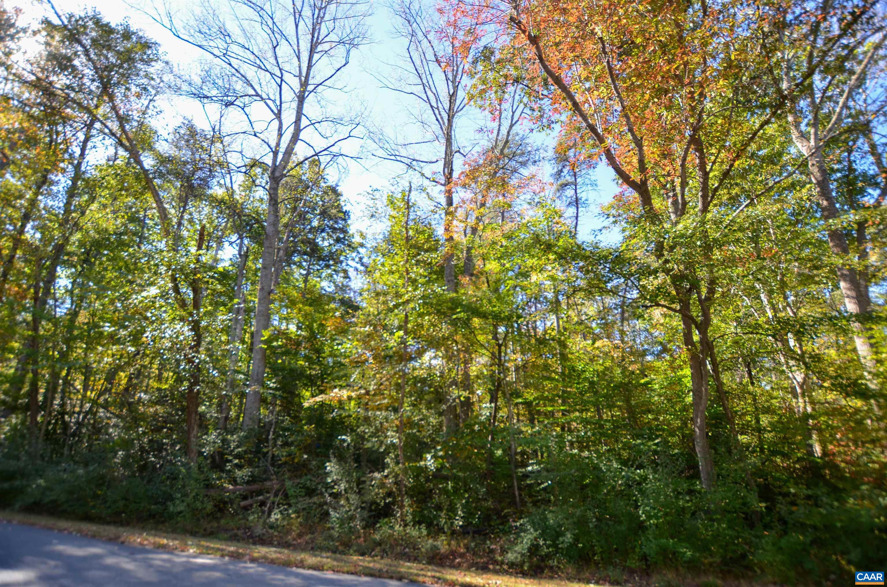 96 ASH RD, LOUISA, Virginia 23093, 3 Bedrooms Bedrooms, ,4 BathroomsBathrooms,Residential,96 ASH RD,683361 MLS # 683361 96 ASH RD, LOUISA, Virginia 23093, 3 Bedrooms Bedrooms, ,4 BathroomsBathrooms,Residential,96 ASH RD,683361 MLS # 683361