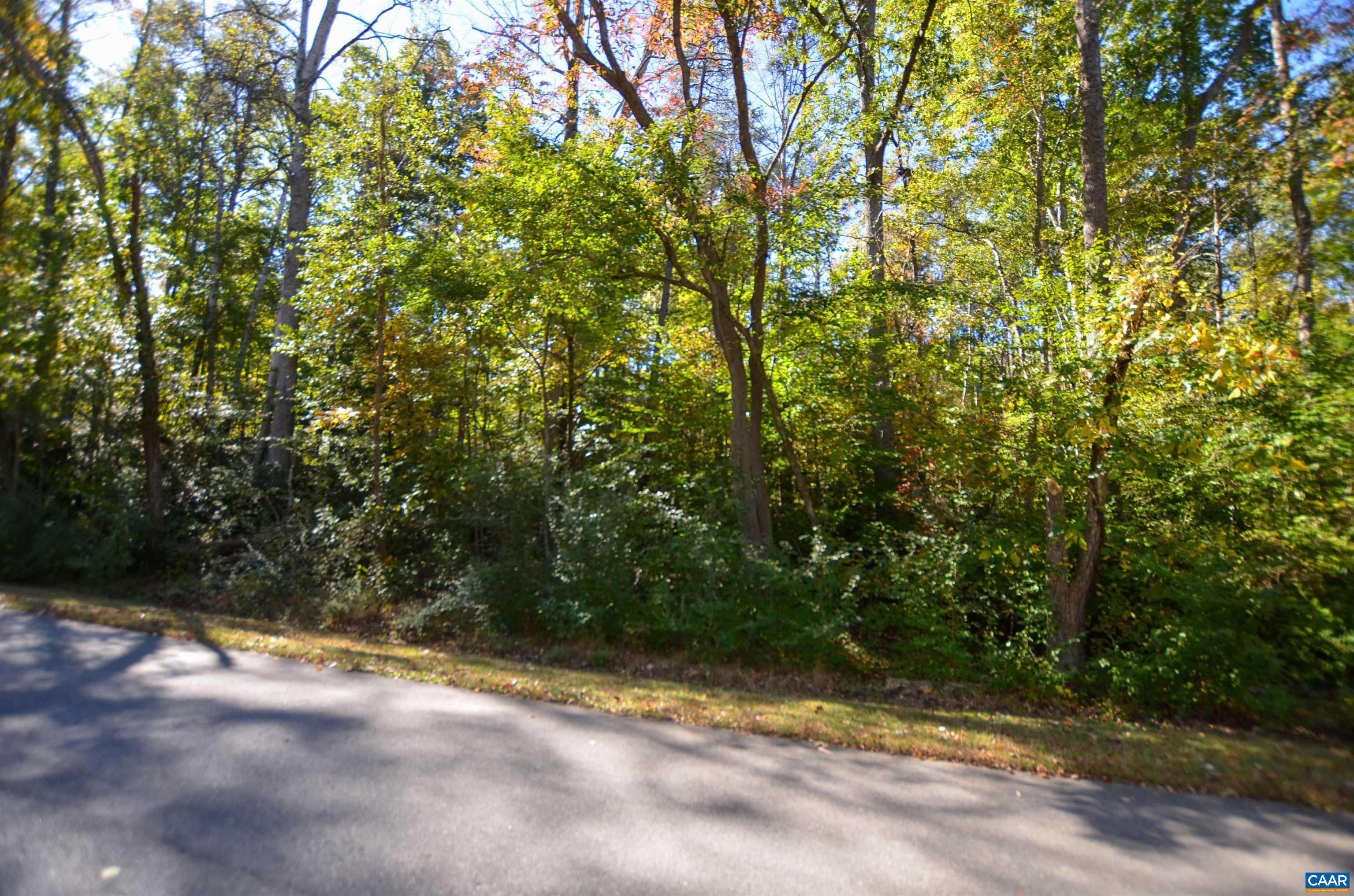 96 ASH RD, LOUISA, Virginia 23093, 3 Bedrooms Bedrooms, ,4 BathroomsBathrooms,Residential,96 ASH RD,683361 MLS # 683361 96 ASH RD, LOUISA, Virginia 23093, 3 Bedrooms Bedrooms, ,4 BathroomsBathrooms,Residential,96 ASH RD,683361 MLS # 683361