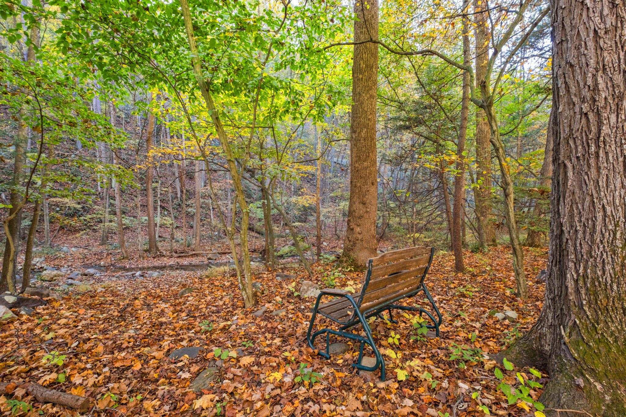 118 LITTLE CALF PASTURE HWY, SWOOPE, Virginia 24479, 1 Bedroom Bedrooms, ,1 BathroomBathrooms,Residential,118 LITTLE CALF PASTURE HWY,683365 MLS # 683365 118 LITTLE CALF PASTURE HWY, SWOOPE, Virginia 24479, 1 Bedroom Bedrooms, ,1 BathroomBathrooms,Residential,118 LITTLE CALF PASTURE HWY,683365 MLS # 683365