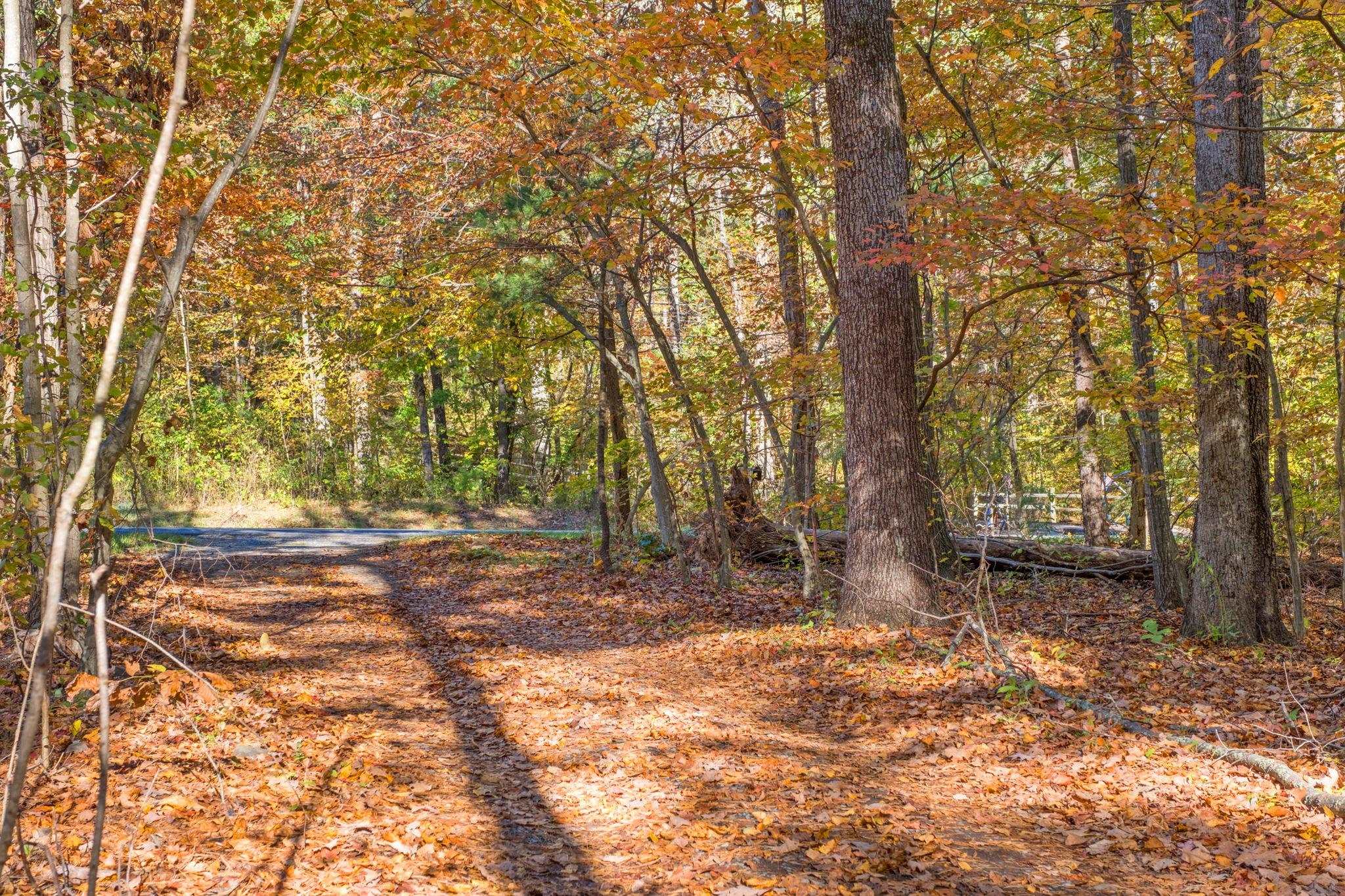 118 LITTLE CALF PASTURE HWY, SWOOPE, Virginia 24479, 1 Bedroom Bedrooms, ,1 BathroomBathrooms,Residential,118 LITTLE CALF PASTURE HWY,683365 MLS # 683365 118 LITTLE CALF PASTURE HWY, SWOOPE, Virginia 24479, 1 Bedroom Bedrooms, ,1 BathroomBathrooms,Residential,118 LITTLE CALF PASTURE HWY,683365 MLS # 683365