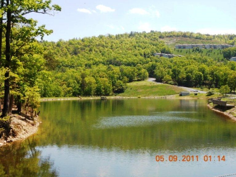 4704 PALMER RD, MCGAHEYSVILLE, Virginia 22840, 3 Bedrooms Bedrooms, ,2 BathroomsBathrooms,Residential,Mountain Hideaway,4704 PALMER RD,683368 MLS # 683368 4704 PALMER RD, MCGAHEYSVILLE, Virginia 22840, 3 Bedrooms Bedrooms, ,2 BathroomsBathrooms,Residential,Mountain Hideaway,4704 PALMER RD,683368 MLS # 683368