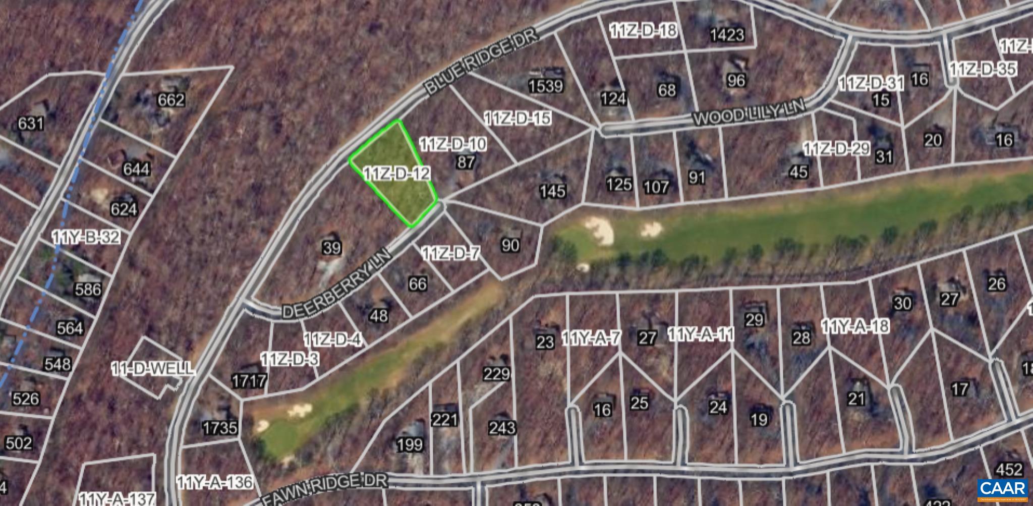 87 DEERBERRY LN, ROSELAND, Virginia 22967, ,Land,87 DEERBERRY LN,683383 MLS # 683383