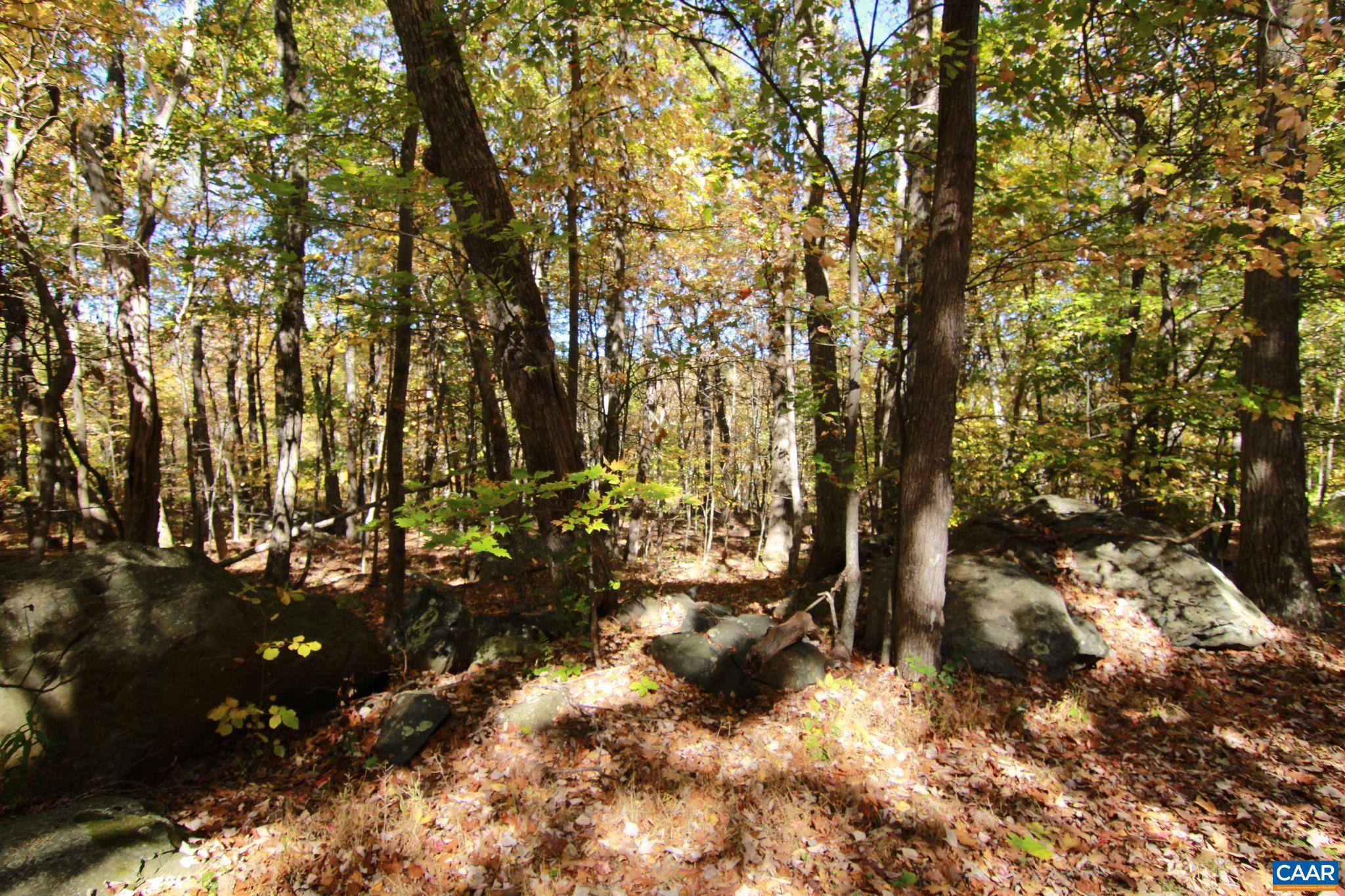 87 DEERBERRY LN, ROSELAND, Virginia 22967, ,Land,87 DEERBERRY LN,683383 MLS # 683383