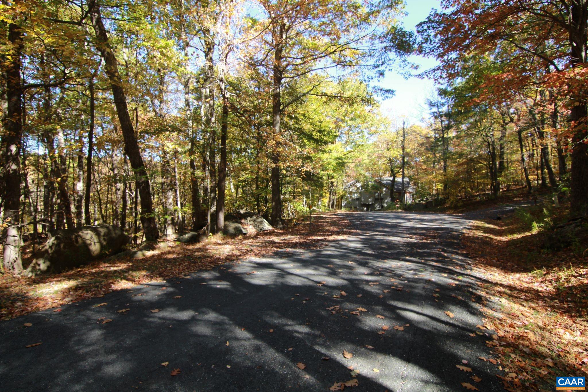 87 DEERBERRY LN, ROSELAND, Virginia 22967, ,Land,87 DEERBERRY LN,683383 MLS # 683383