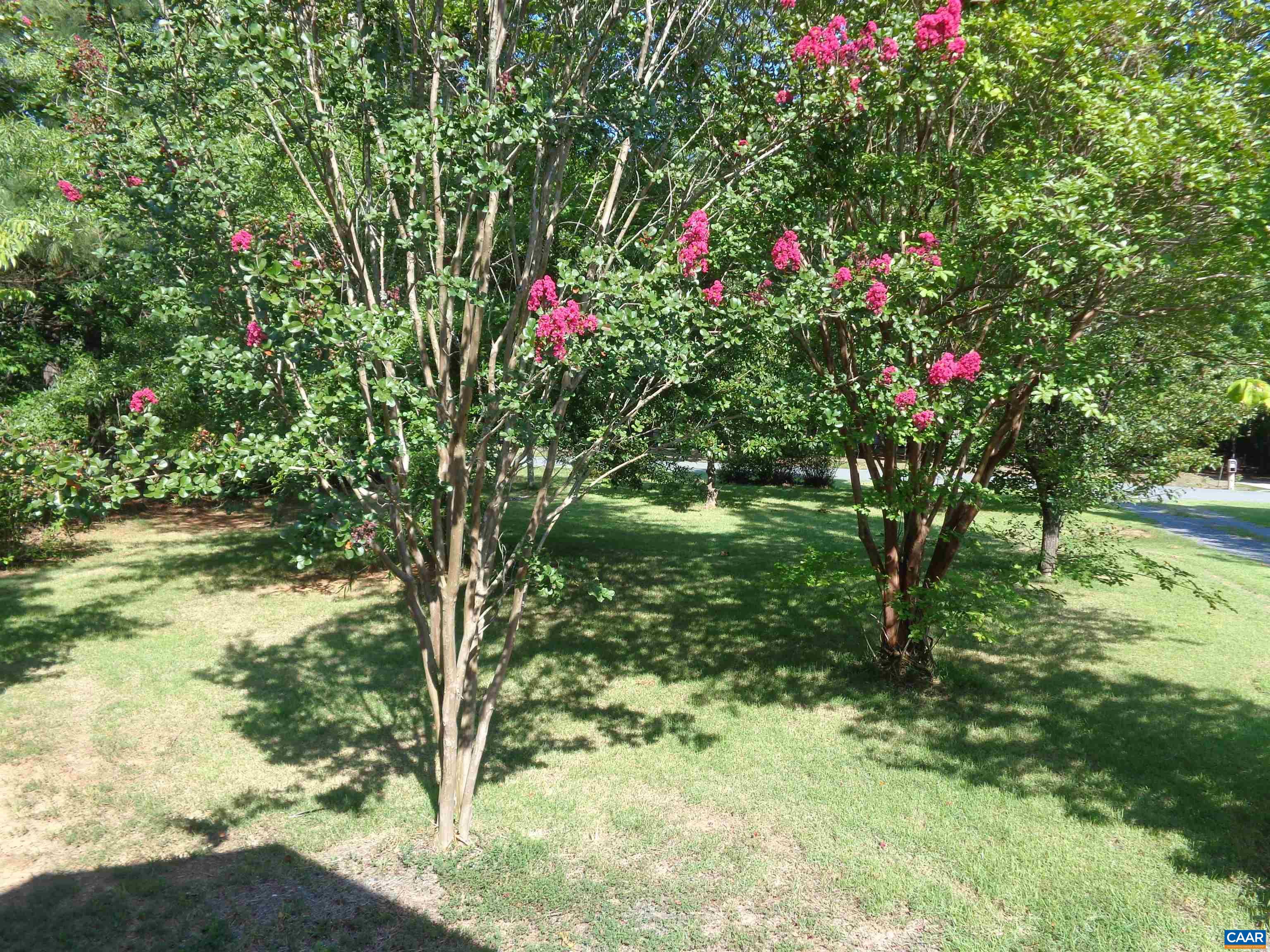 17 BOLLING PL, SCOTTSVILLE, Virginia 24590, 32 Bedrooms Bedrooms, ,2 BathroomsBathrooms,Residential,17 BOLLING PL,683403 MLS # 683403 17 BOLLING PL, SCOTTSVILLE, Virginia 24590, 32 Bedrooms Bedrooms, ,2 BathroomsBathrooms,Residential,17 BOLLING PL,683403 MLS # 683403