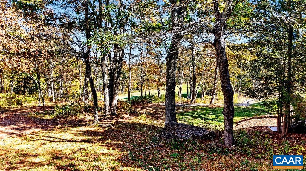 56 LAUREL SPRINGS DR, WINTERGREEN, Virginia 22967, 4 Bedrooms Bedrooms, ,3 BathroomsBathrooms,Residential,56 LAUREL SPRINGS DR,683410 MLS # 683410 56 LAUREL SPRINGS DR, WINTERGREEN, Virginia 22967, 4 Bedrooms Bedrooms, ,3 BathroomsBathrooms,Residential,56 LAUREL SPRINGS DR,683410 MLS # 683410