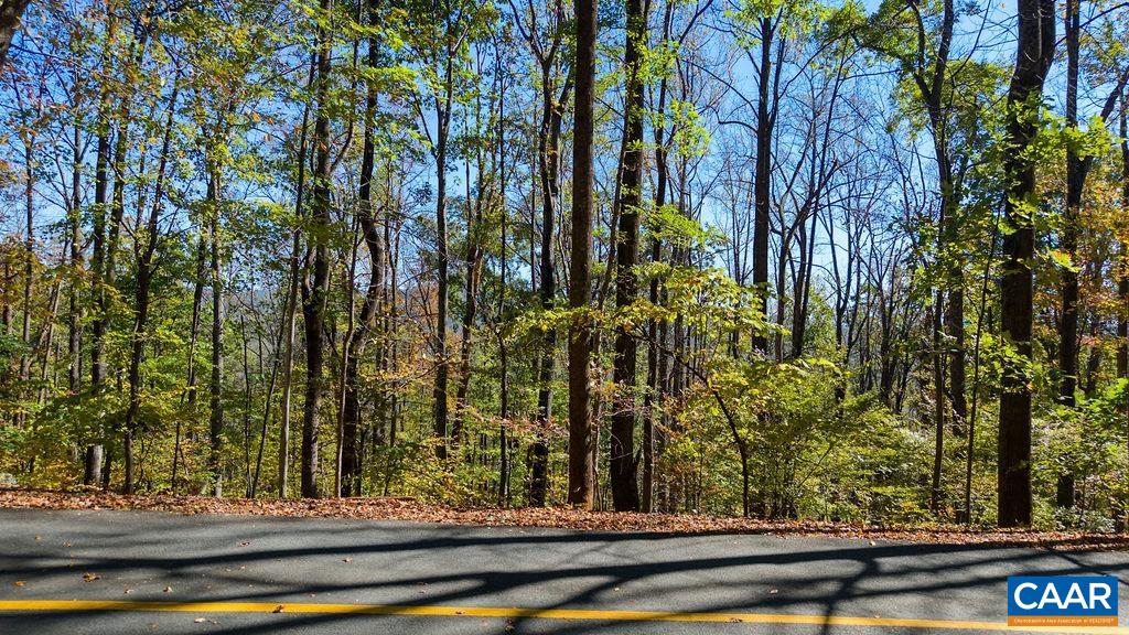 680 CRAWFORDS CLIMB, NELLYSFORD, Virginia 22958, ,Land,680 CRAWFORDS CLIMB,683414 MLS # 683414 680 CRAWFORDS CLIMB, NELLYSFORD, Virginia 22958, ,Land,680 CRAWFORDS CLIMB,683414 MLS # 683414