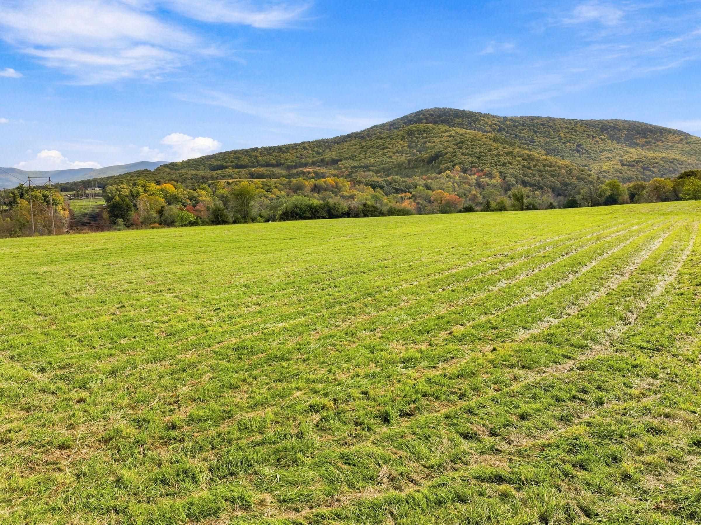 KEYSTONE RD, STANLEY, Virginia 22851, ,Land,KEYSTONE RD,683419 MLS # 683419 KEYSTONE RD, STANLEY, Virginia 22851, ,Land,KEYSTONE RD,683419 MLS # 683419