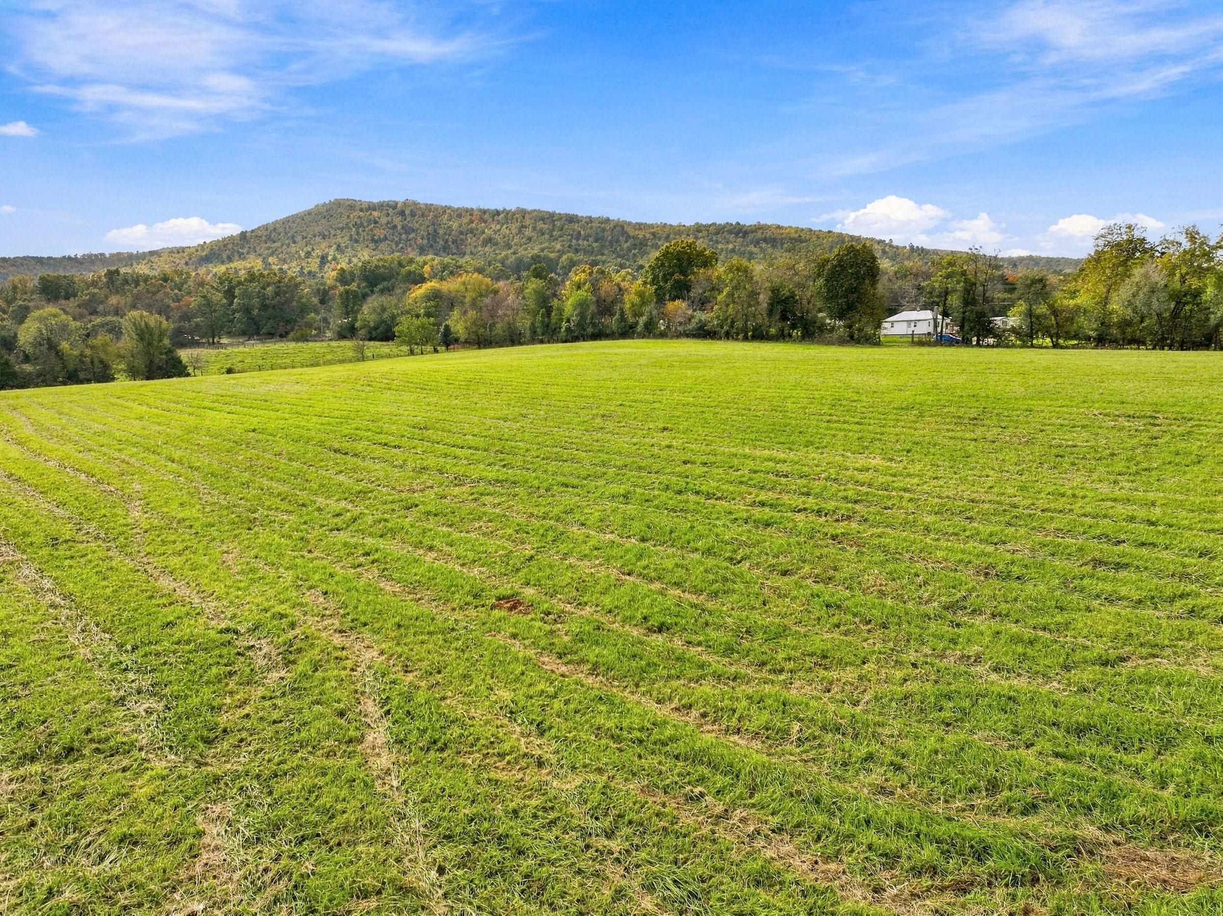 KEYSTONE RD, STANLEY, Virginia 22851, ,Land,KEYSTONE RD,683419 MLS # 683419 KEYSTONE RD, STANLEY, Virginia 22851, ,Land,KEYSTONE RD,683419 MLS # 683419