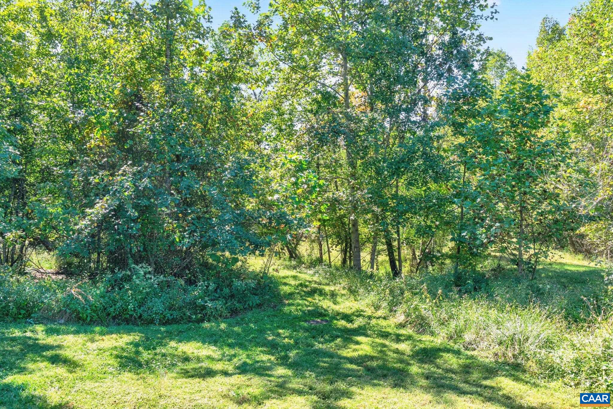 160 DEERWOOD RD, CHARLOTTESVILLE, Virginia 22911, 3 Bedrooms Bedrooms, ,2 BathroomsBathrooms,Residential,160 DEERWOOD RD,683125 MLS # 683125 160 DEERWOOD RD, CHARLOTTESVILLE, Virginia 22911, 3 Bedrooms Bedrooms, ,2 BathroomsBathrooms,Residential,160 DEERWOOD RD,683125 MLS # 683125