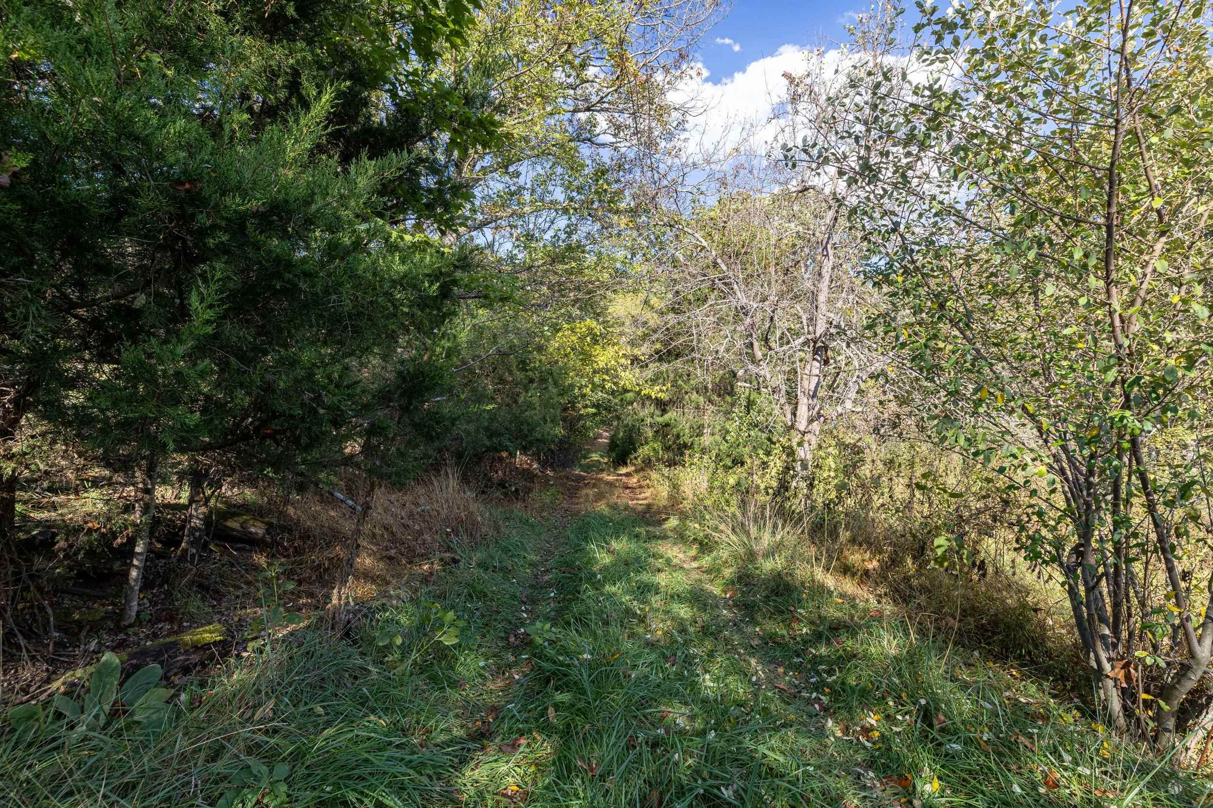 TBD LINDHAVEN RD, BROADWAY, Virginia 22815, 3 Bedrooms Bedrooms, ,1 BathroomBathrooms,Residential,TBD LINDHAVEN RD,683432 MLS # 683432