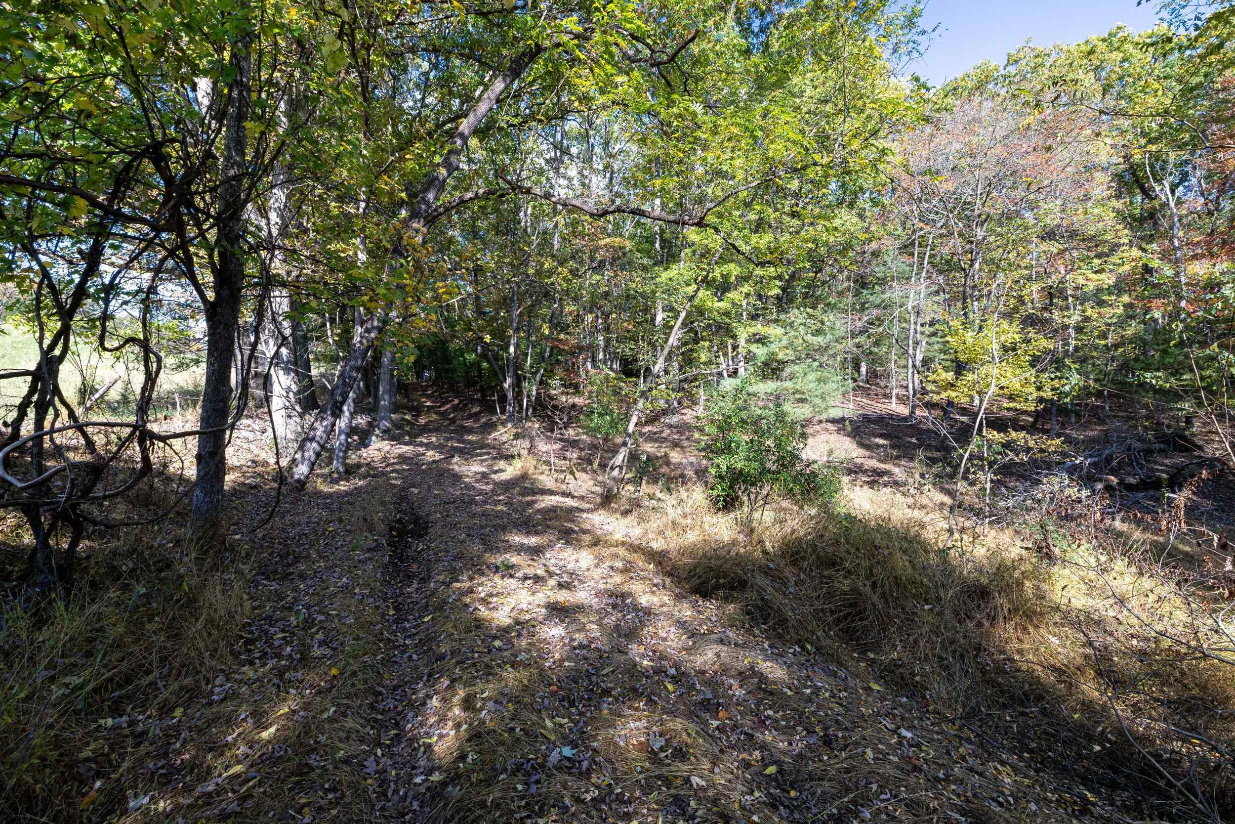 TBD LINDHAVEN RD, BROADWAY, Virginia 22815, 3 Bedrooms Bedrooms, ,1 BathroomBathrooms,Residential,TBD LINDHAVEN RD,683432 MLS # 683432