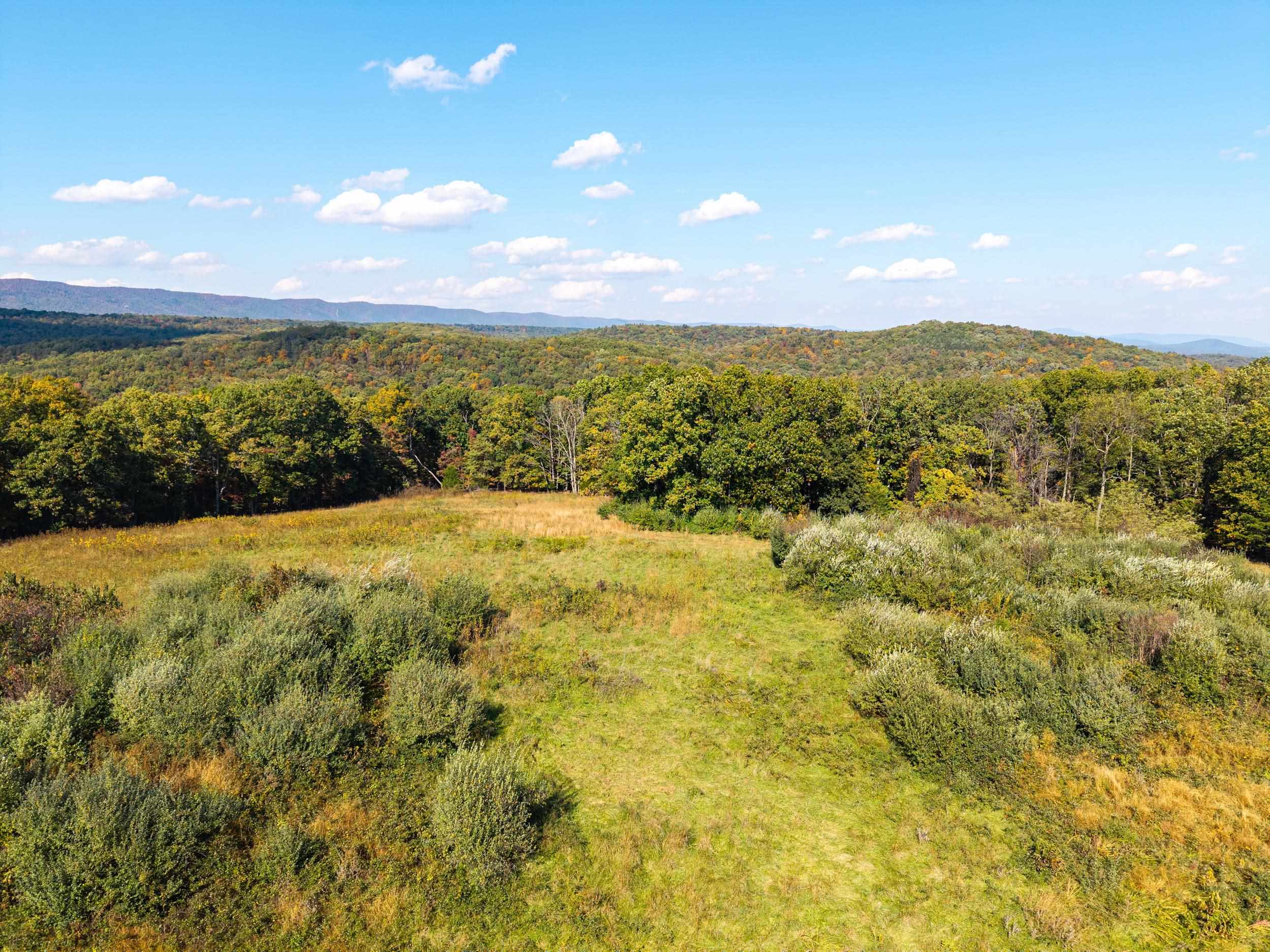 TBD LINDHAVEN RD, BROADWAY, Virginia 22815, 3 Bedrooms Bedrooms, ,1 BathroomBathrooms,Residential,TBD LINDHAVEN RD,683432 MLS # 683432