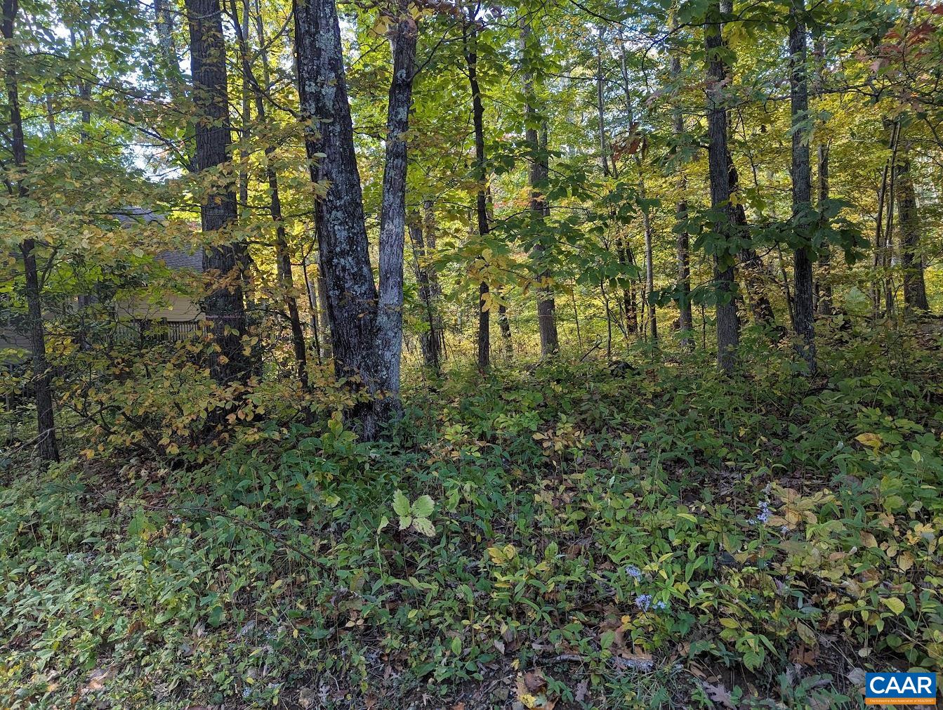 141 GUMTREE DR, ROSELAND, Virginia 22967, ,Land,141 GUMTREE DR,683467 MLS # 683467