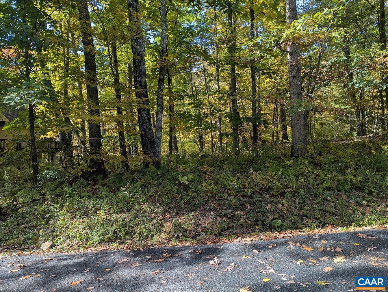 141 GUMTREE DR, ROSELAND, Virginia 22967, ,Land,141 GUMTREE DR,683467 MLS # 683467