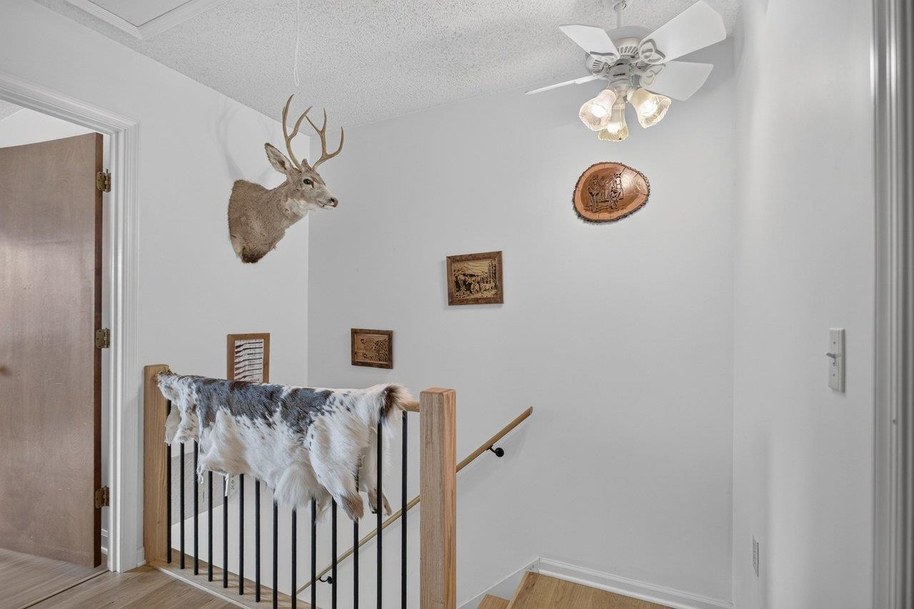 15 VILLAGE SQ, HARRISONBURG, Virginia 22802, 3 Bedrooms Bedrooms, ,1 BathroomBathrooms,Residential,15 VILLAGE SQ,683459 MLS # 683459 15 VILLAGE SQ, HARRISONBURG, Virginia 22802, 3 Bedrooms Bedrooms, ,1 BathroomBathrooms,Residential,15 VILLAGE SQ,683459 MLS # 683459