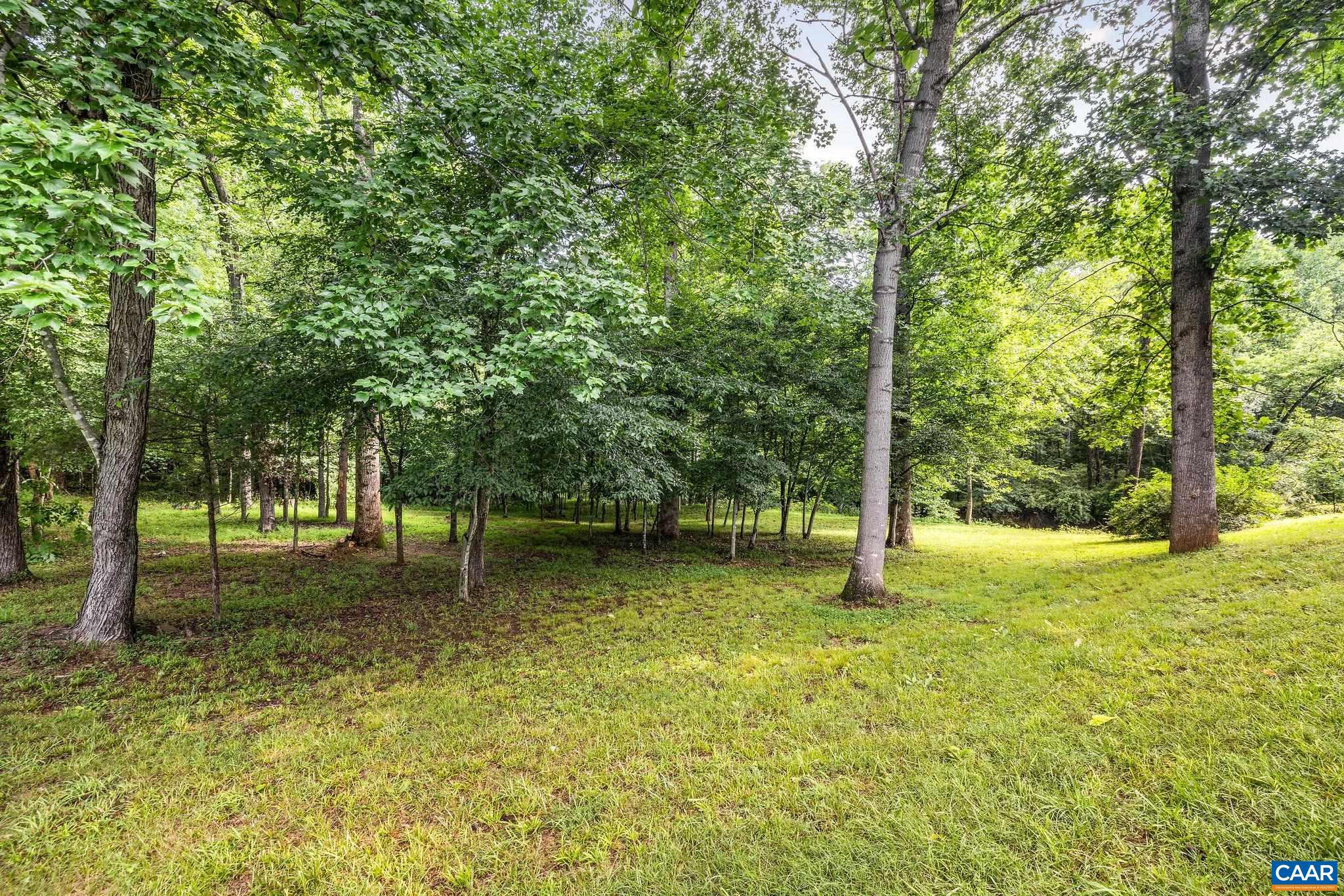 Manicured river bottom view on the way to existing home and homesite 3
