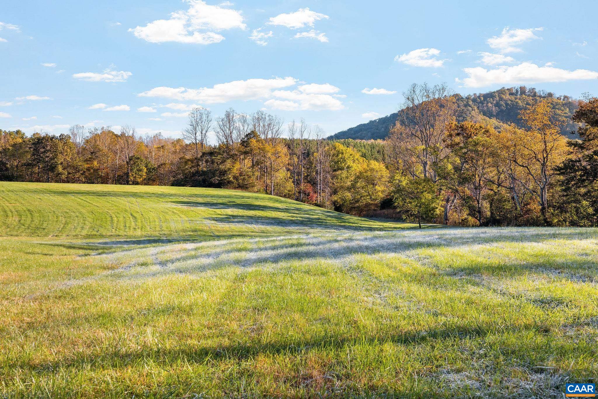 8486 ROCKFISH VALLEY HWY, AFTON, Virginia 22920, 3 Bedrooms Bedrooms, ,3 BathroomsBathrooms,Residential,8486 ROCKFISH VALLEY HWY,683462 MLS # 683462